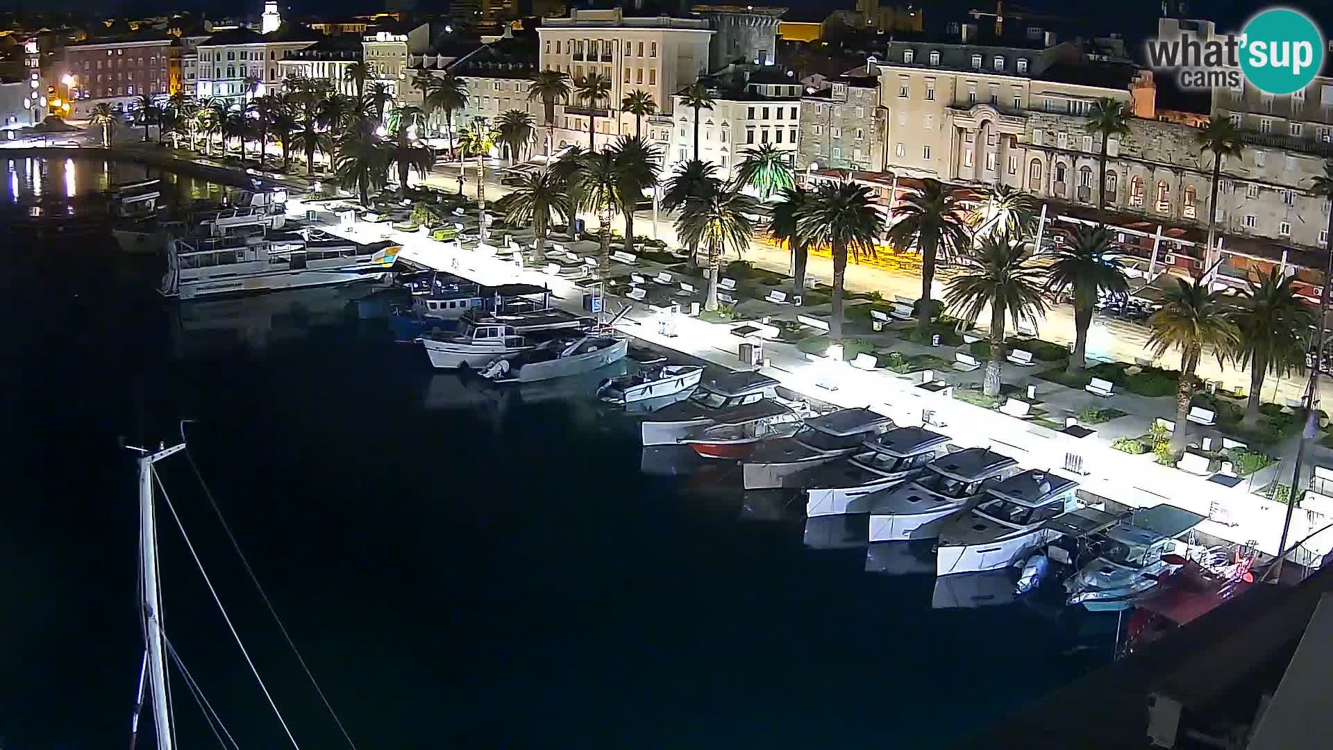 Split v živo panoramska kamera