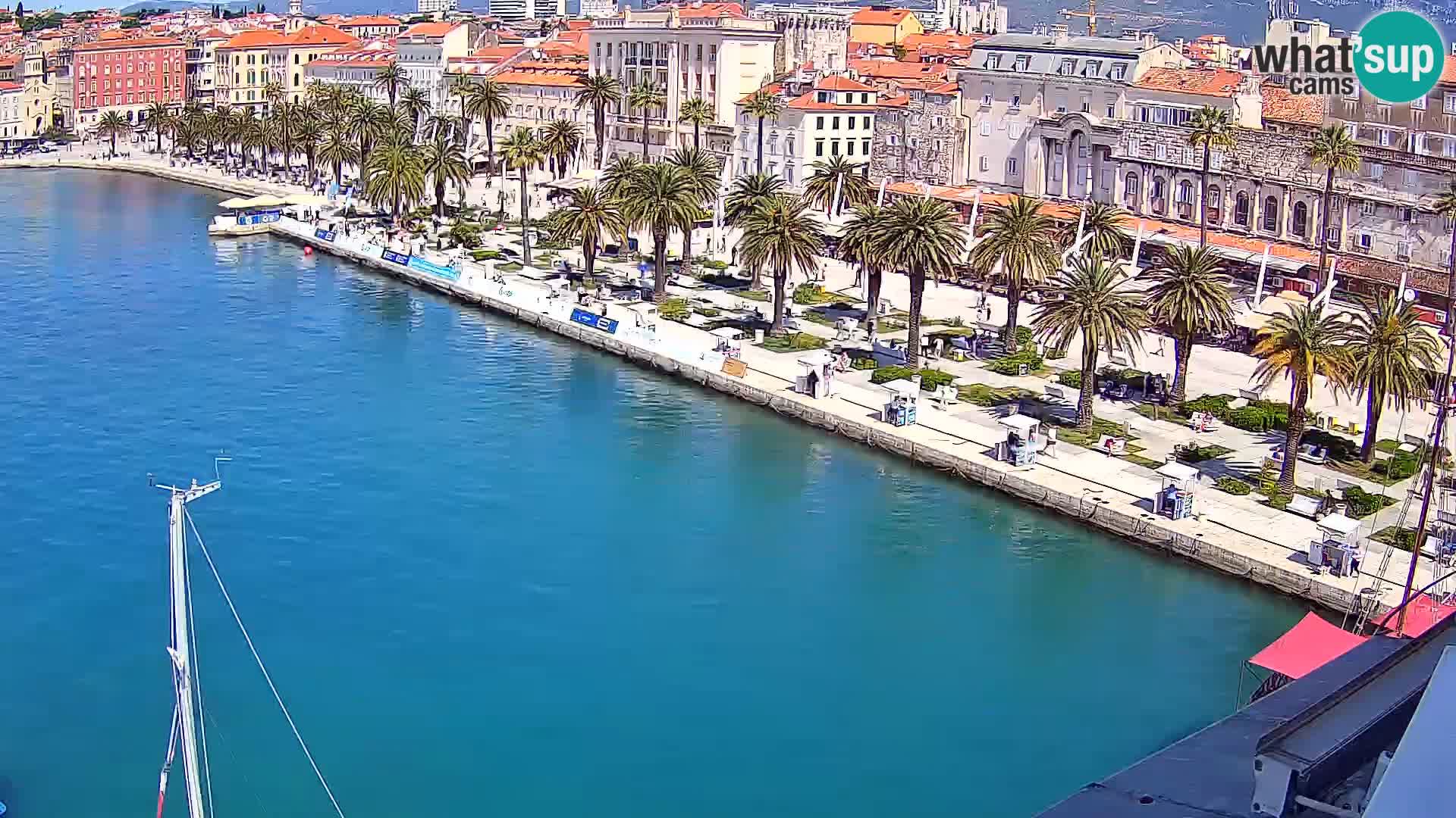 Split livecam panorama