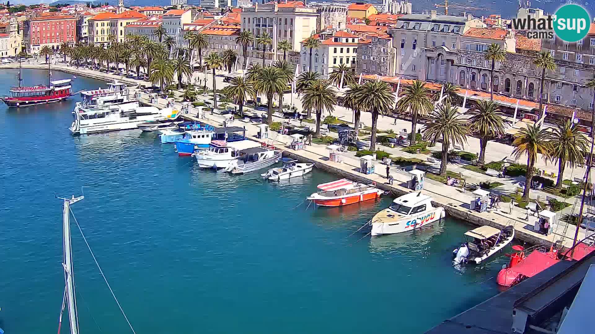 Camera en vivo Split puerto