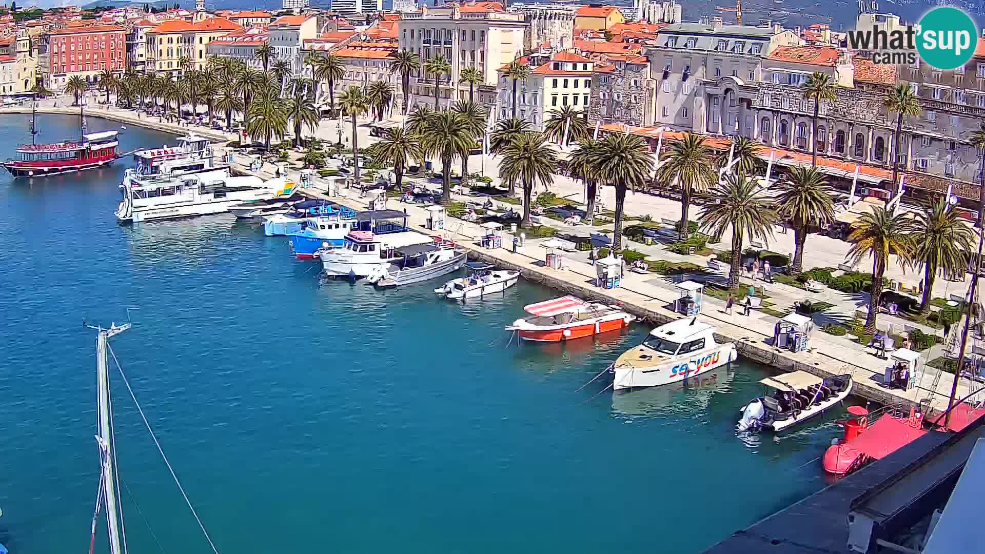 Webcam LIVE Split riva and port