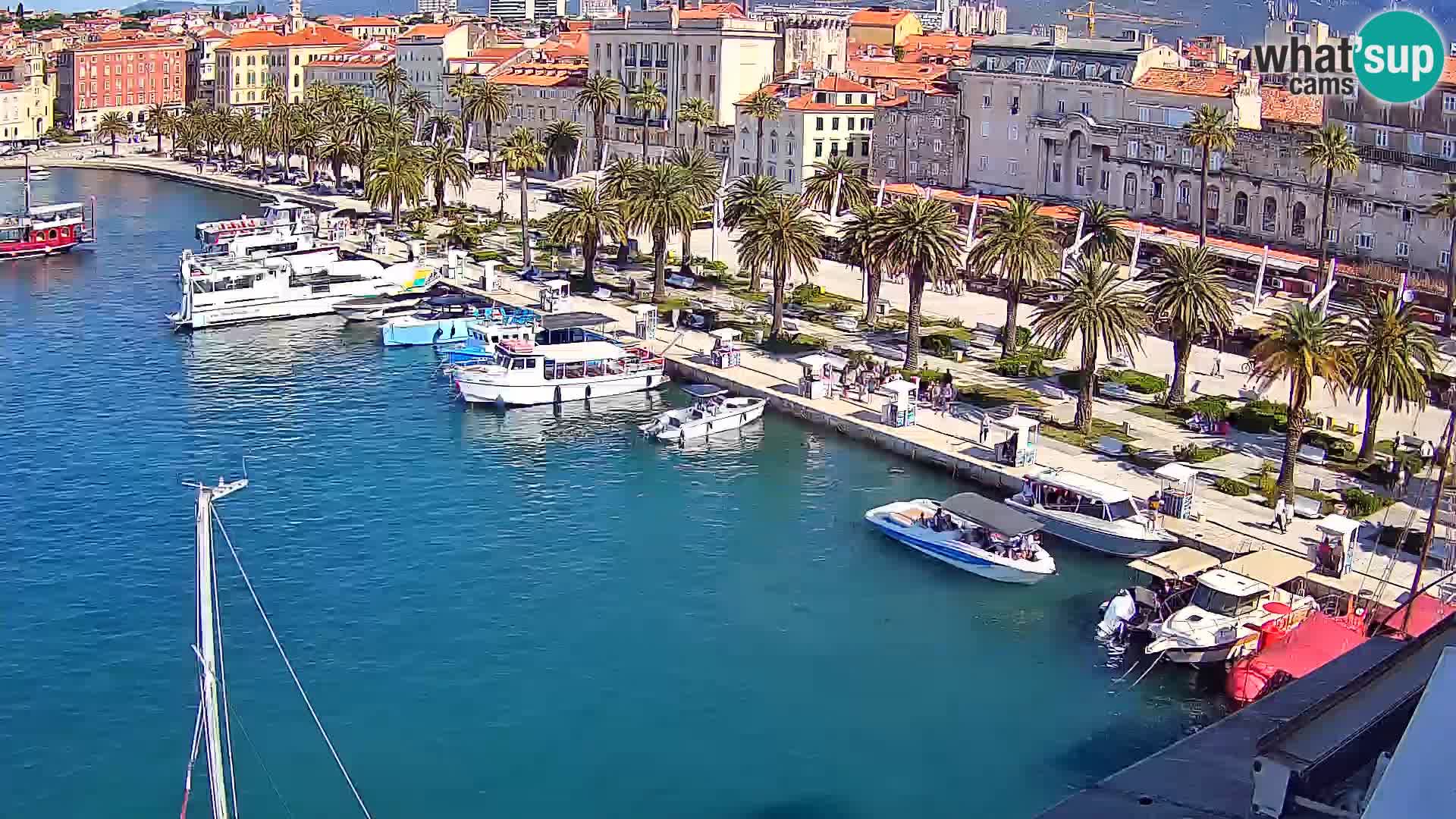 Split livecam panorama
