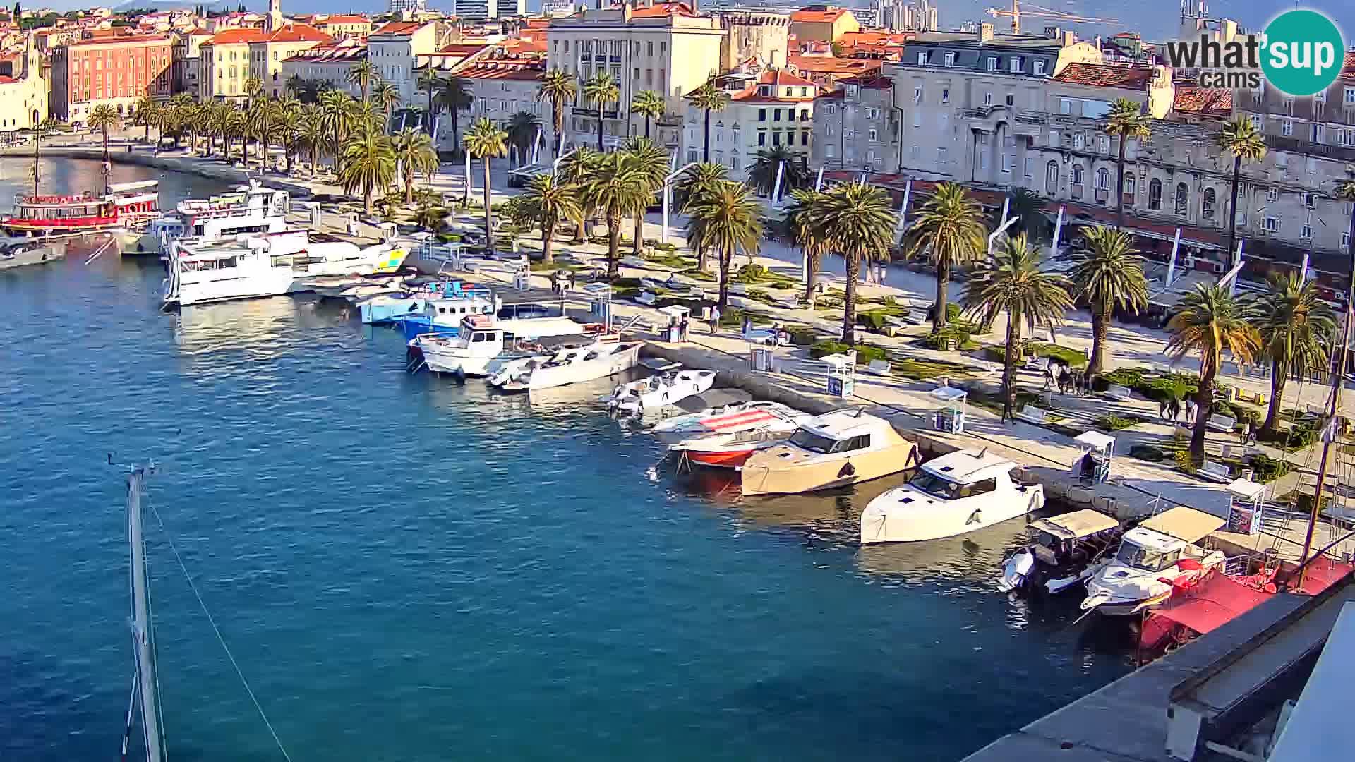 Webcam LIVE Split riva and port