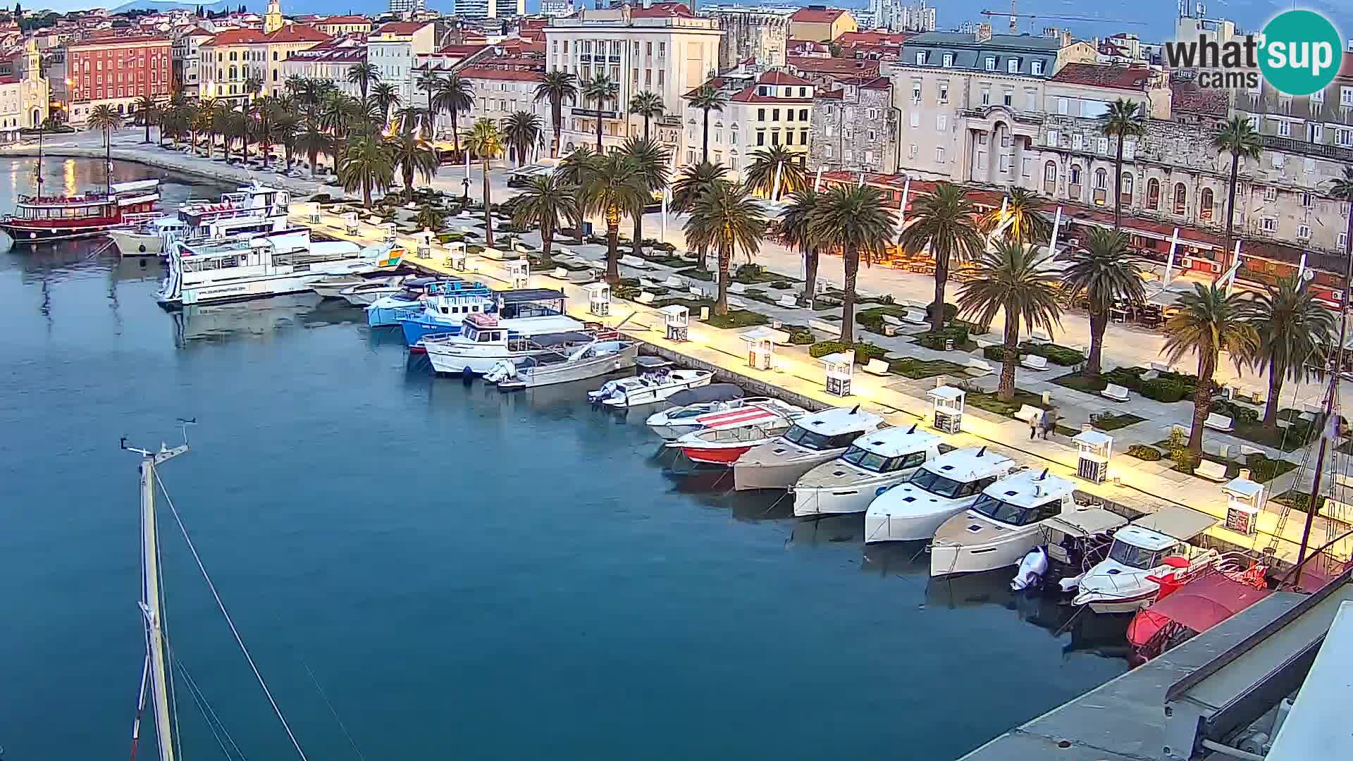 Webcam LIVE Split riva and port