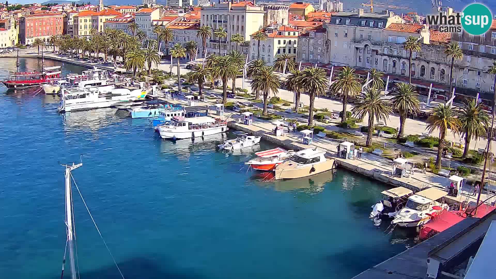 Webcam LIVE Split riva and port