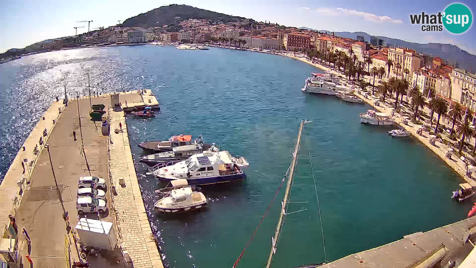 Webcam LIVE Split riva and port