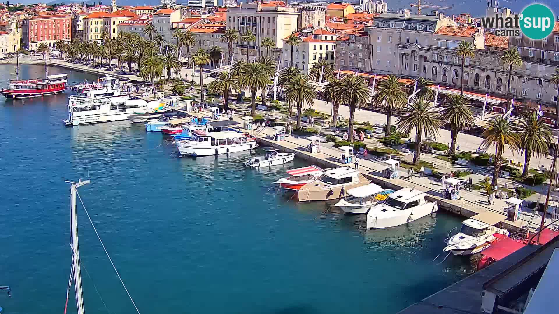 Split panorama en vivo