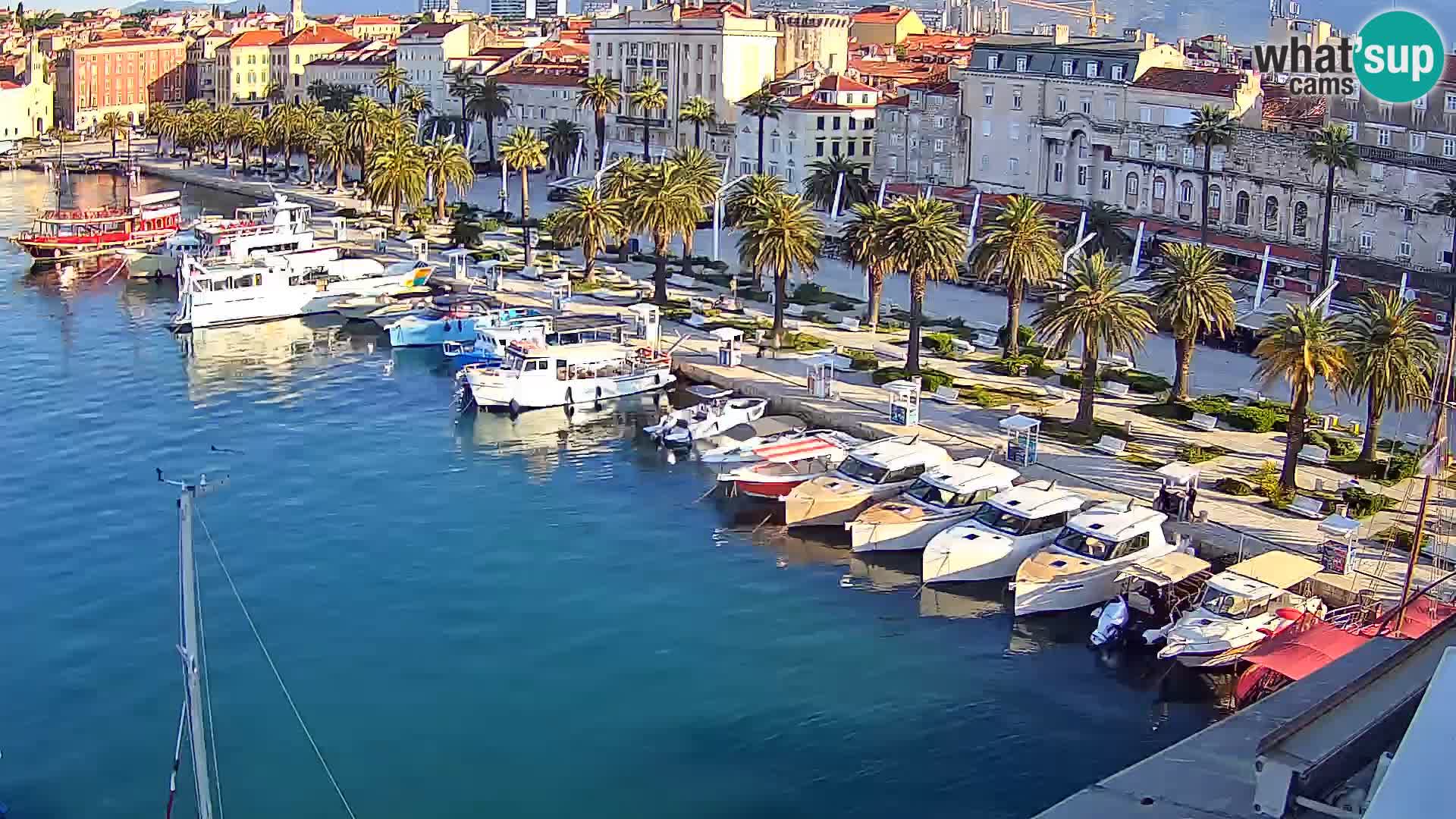 Webcam LIVE Split riva and port