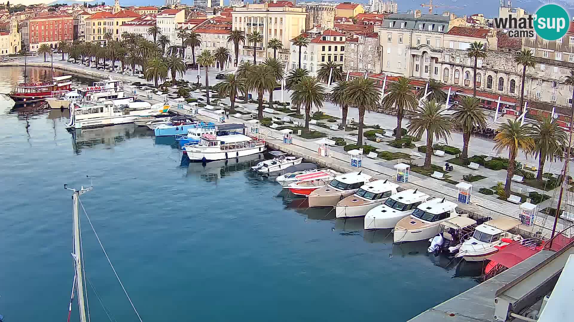 Split livecam panorama