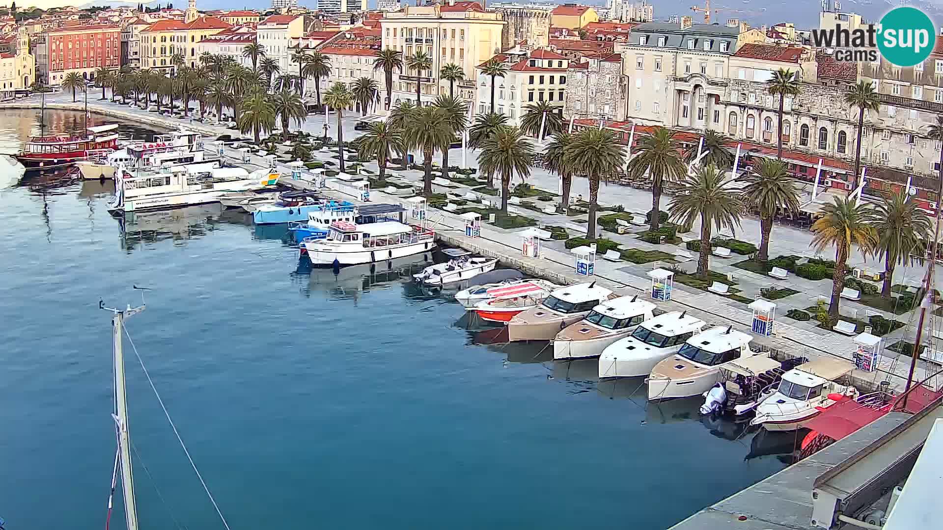 Webcam LIVE Split riva and port