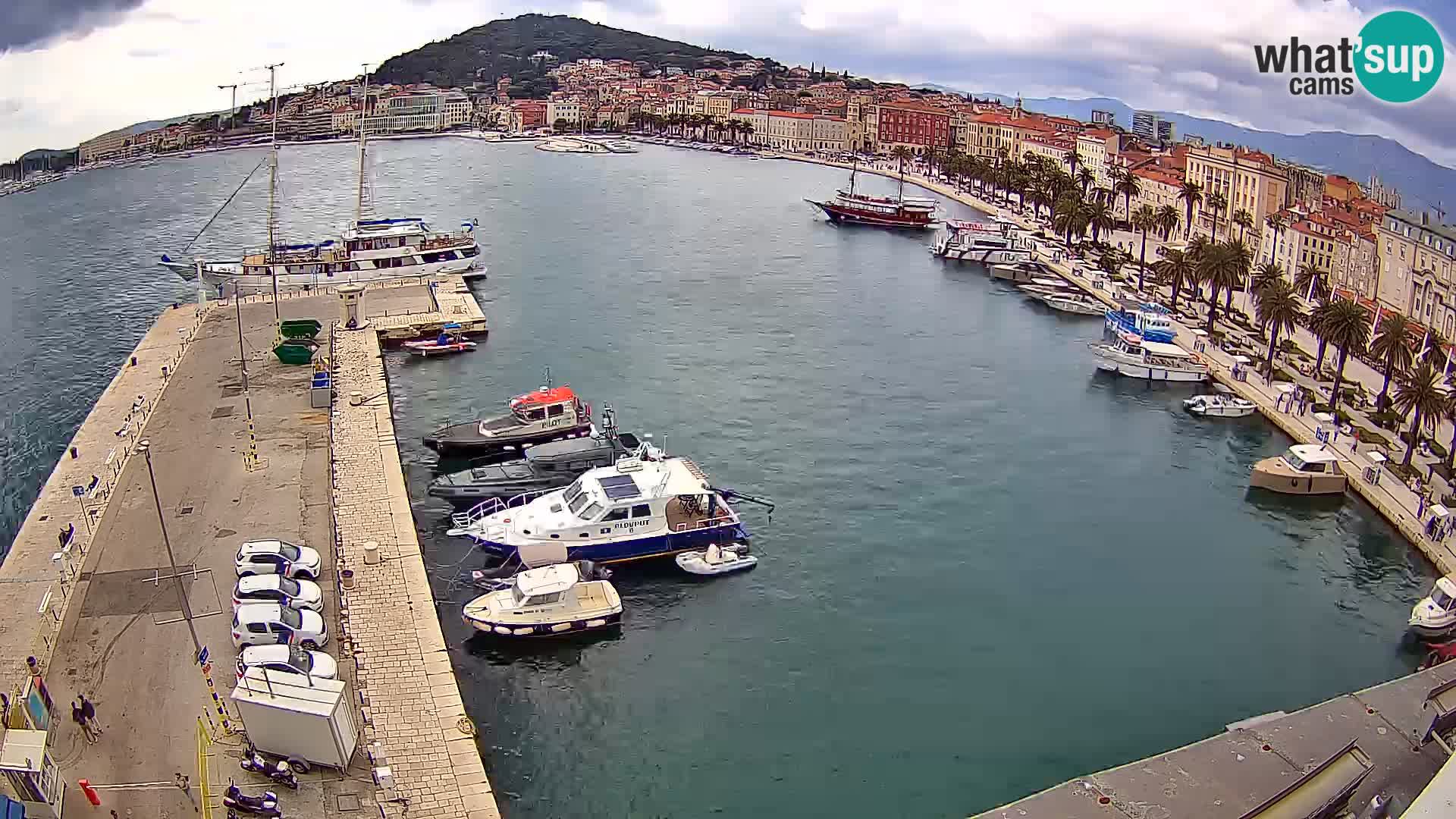 Webcam LIVE Split riva and port