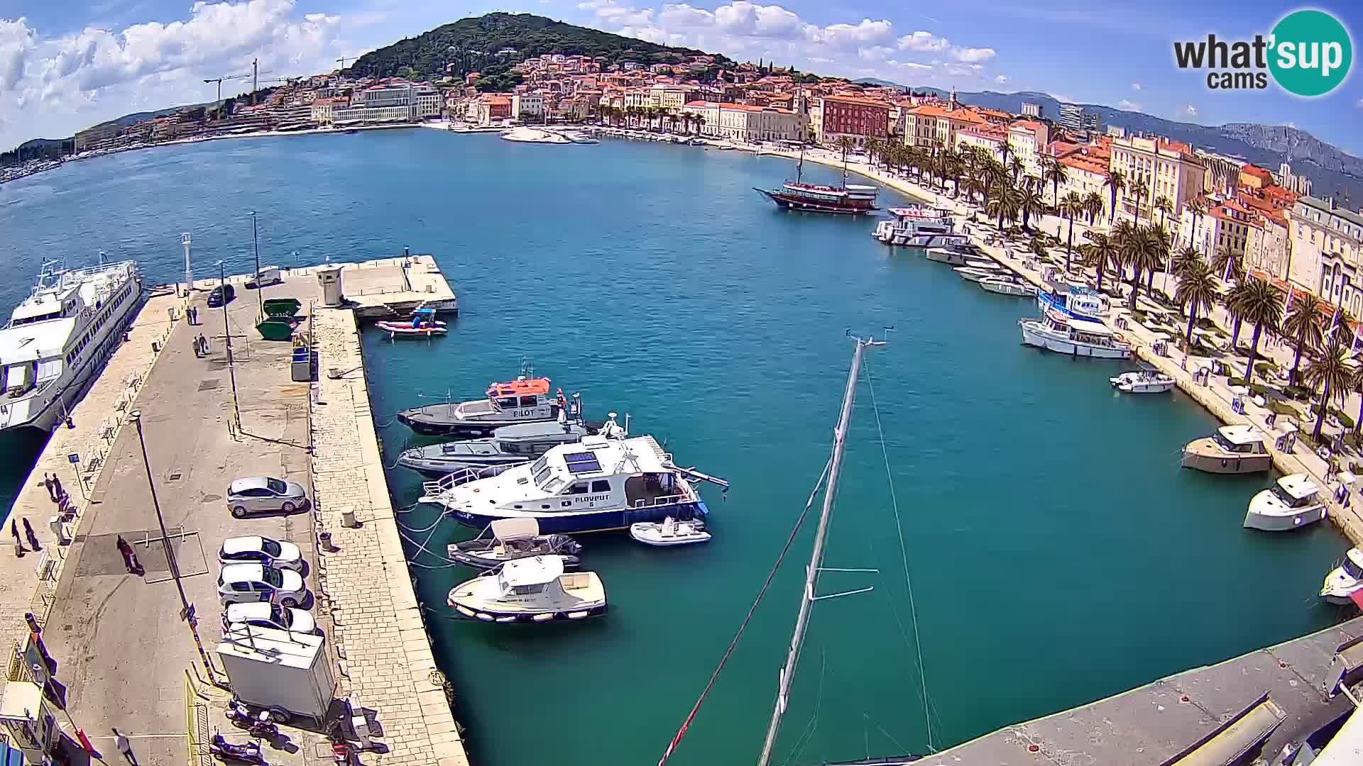 Webcam LIVE Split riva and port