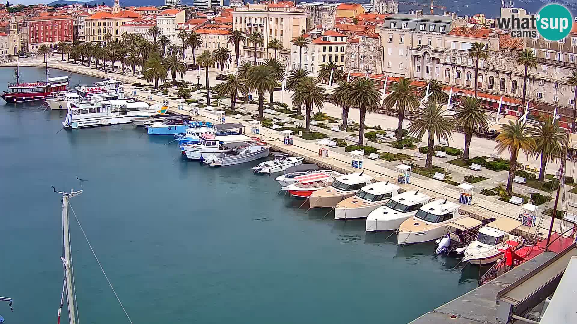 Webcam LIVE Split riva and port