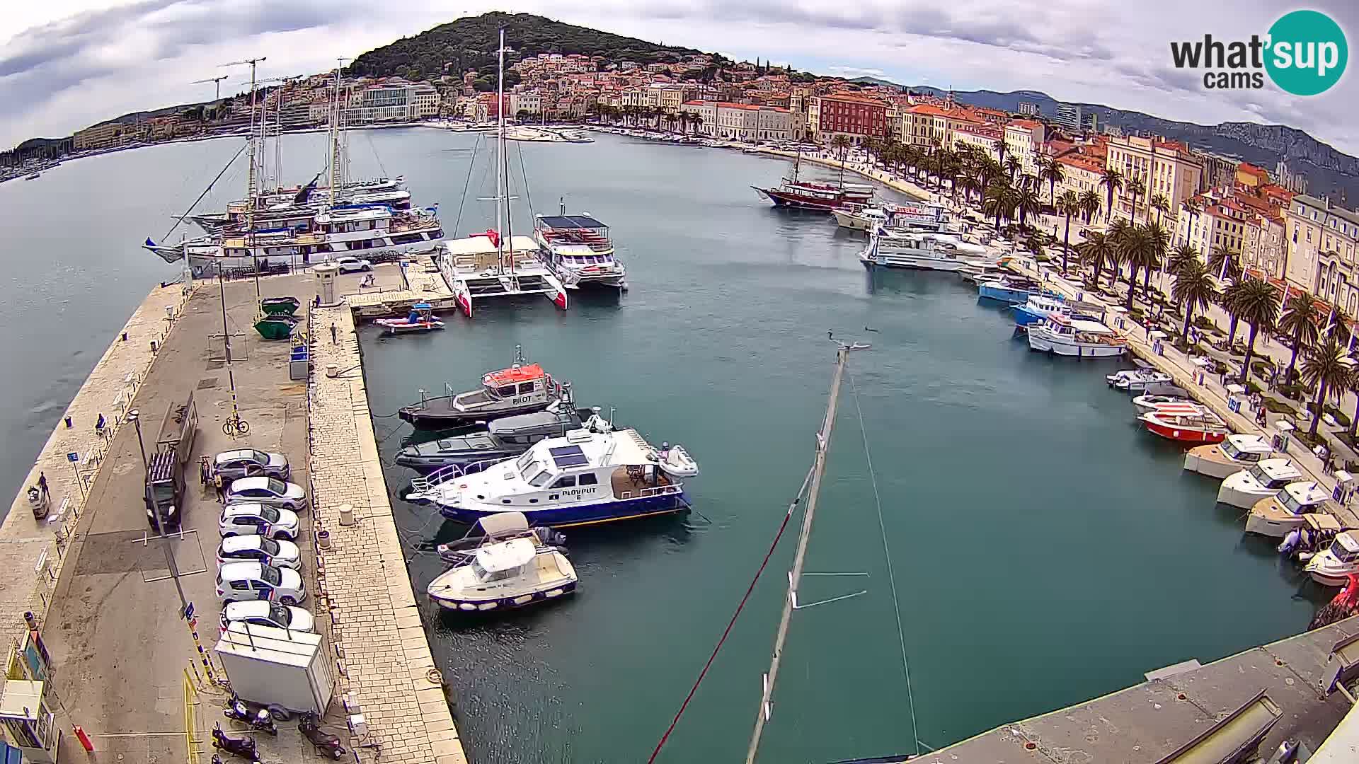 Livecam Split riva