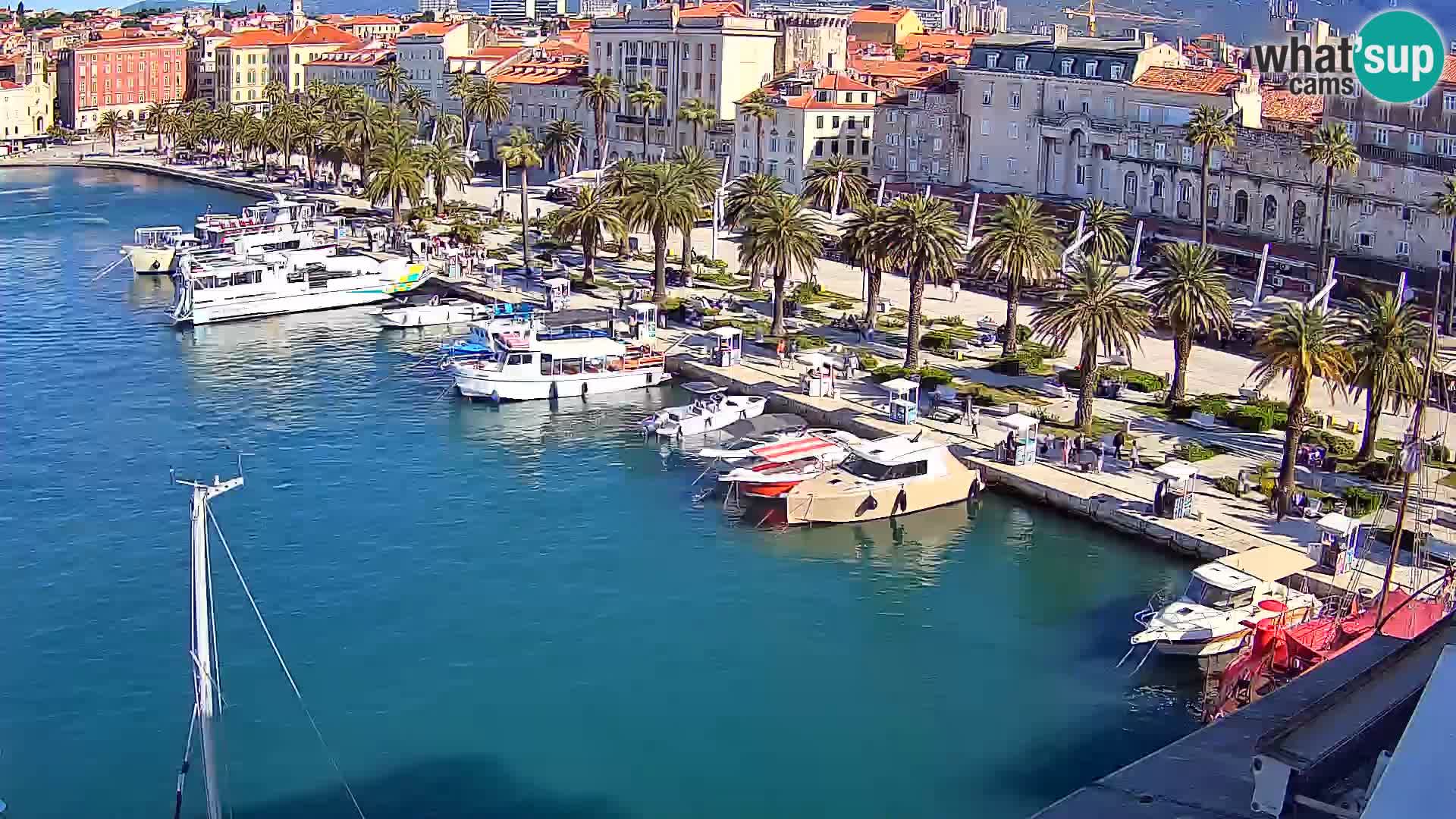 Split panorama en vivo