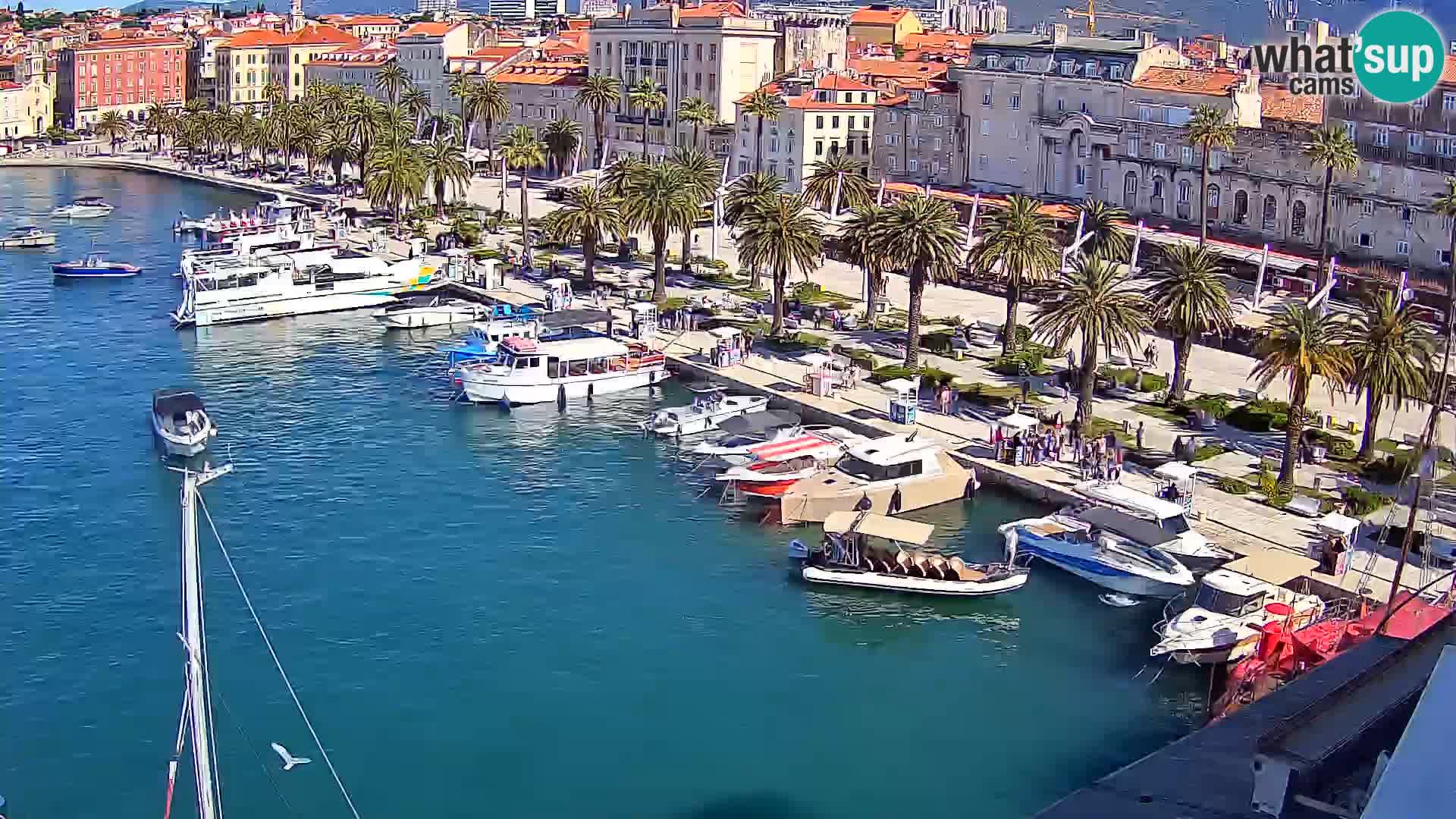 Webcam LIVE Split riva and port