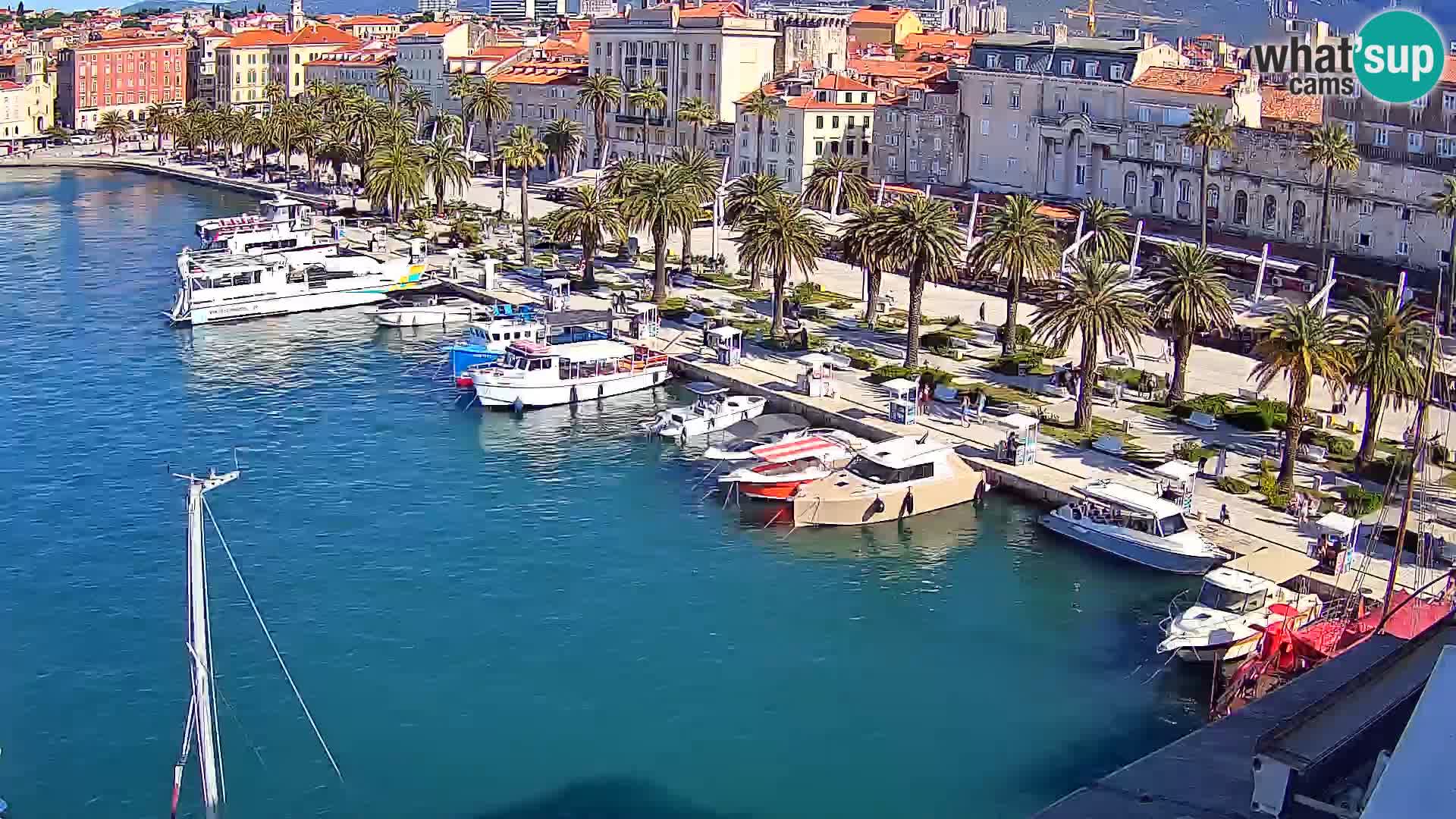 Webcam LIVE Split riva and port
