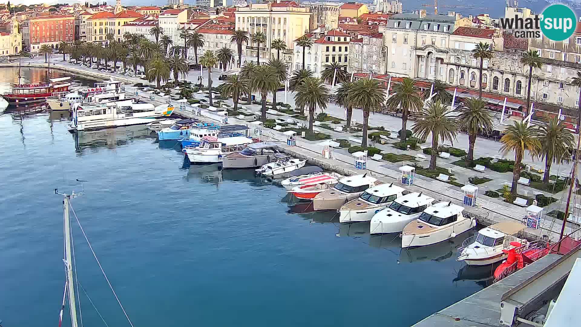 Split livecam panorama