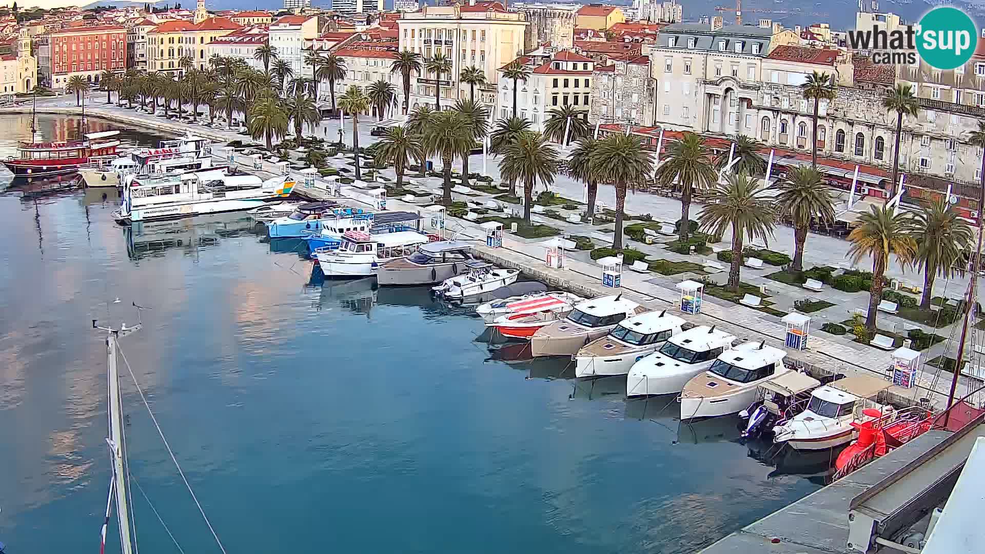 Webcam LIVE Split riva and port