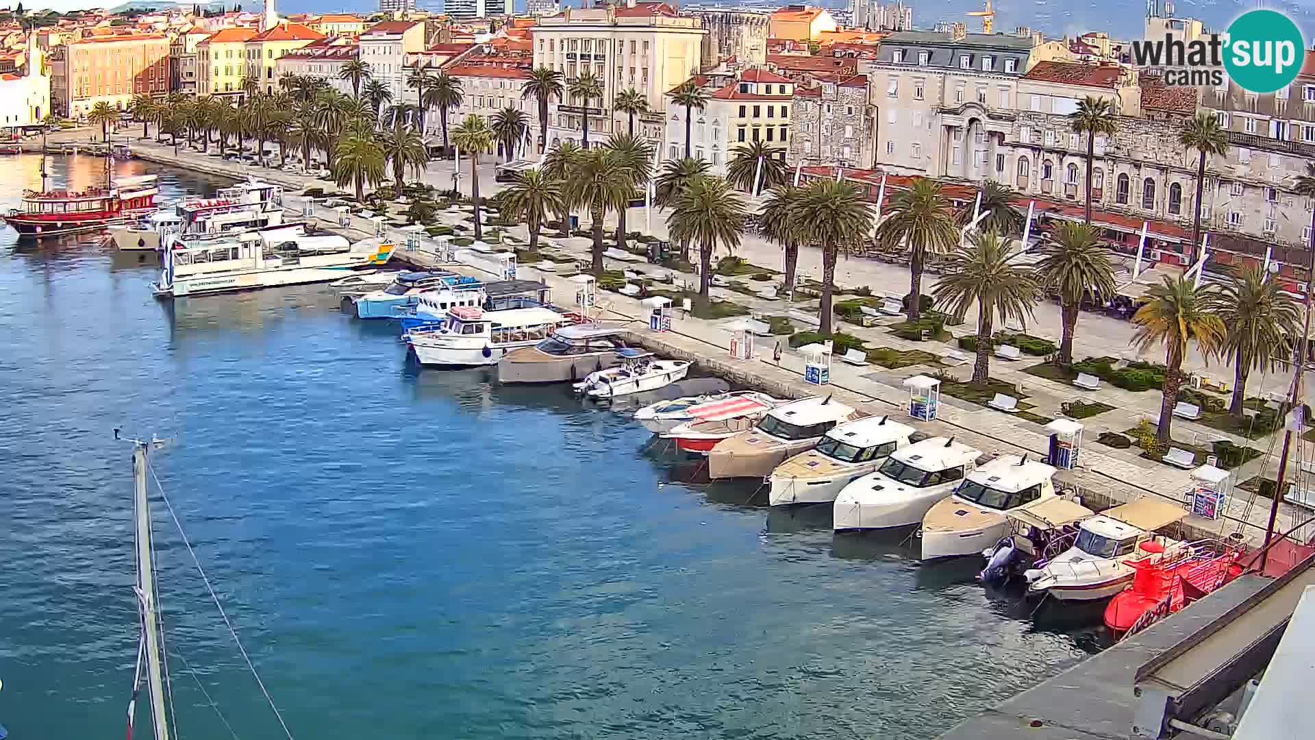 Webcam LIVE Split riva and port