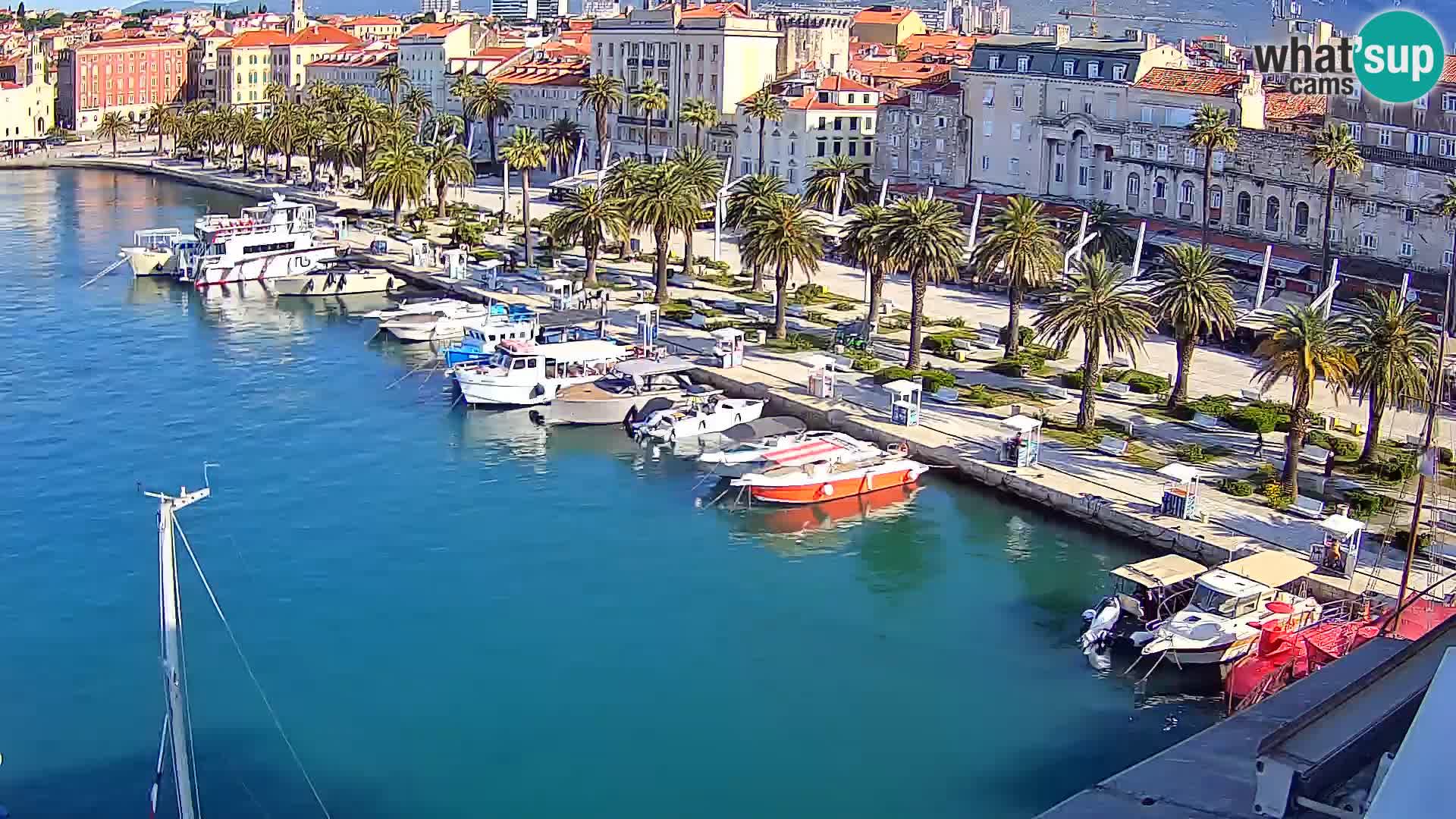 Webcam LIVE Split riva and port