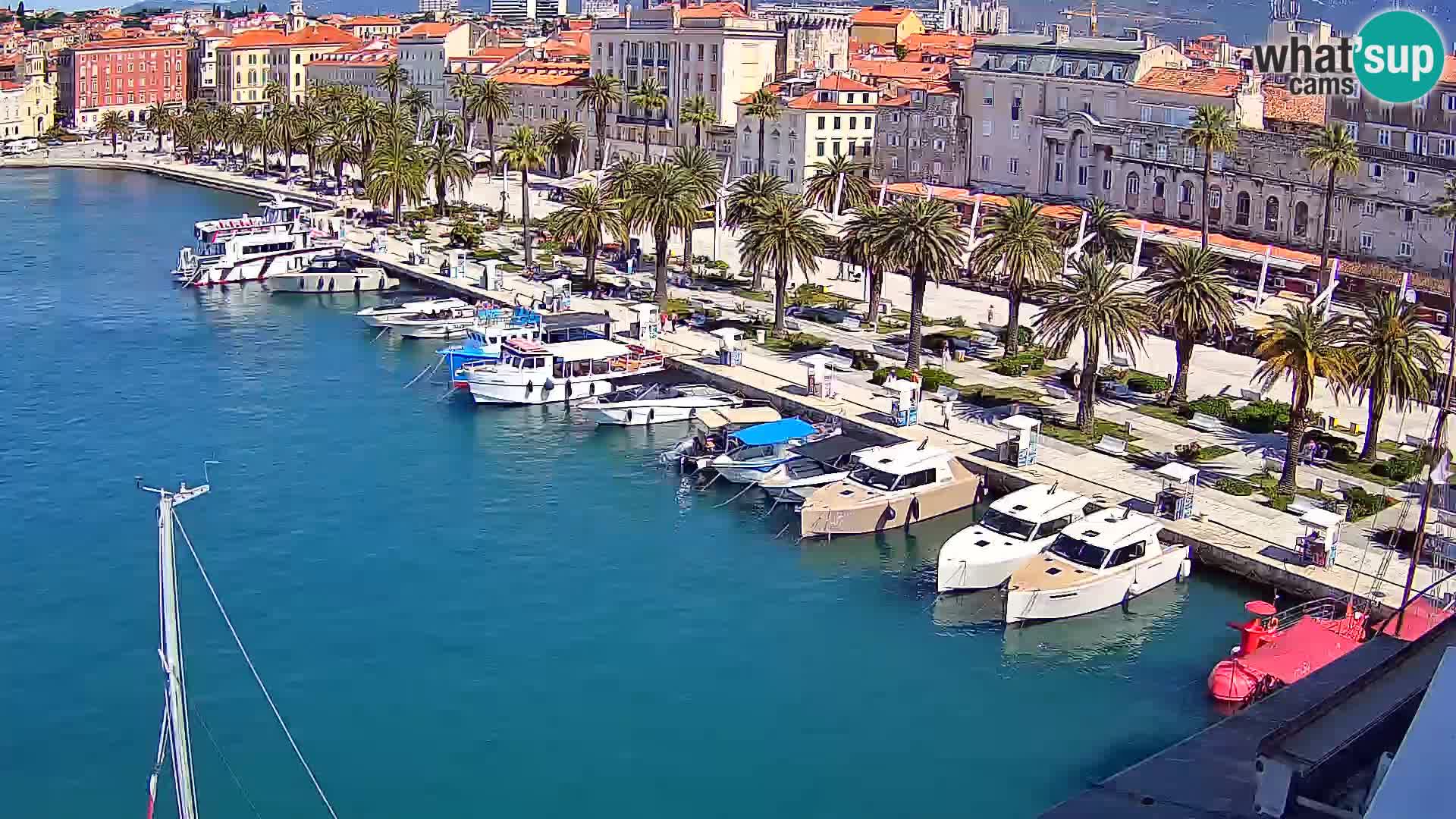 Webcam LIVE Split riva and port