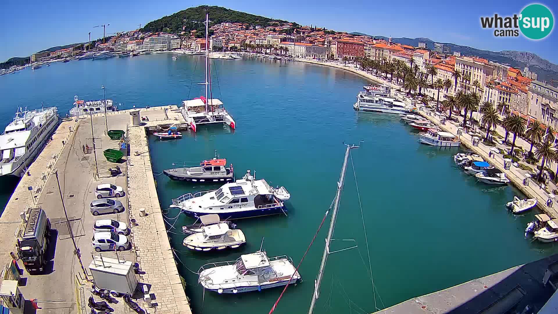 Webcam LIVE Split riva and port
