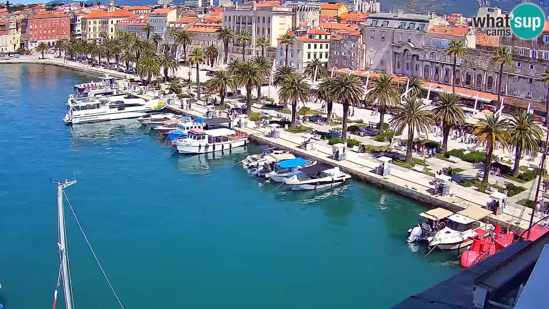 Webcam LIVE Split riva and port