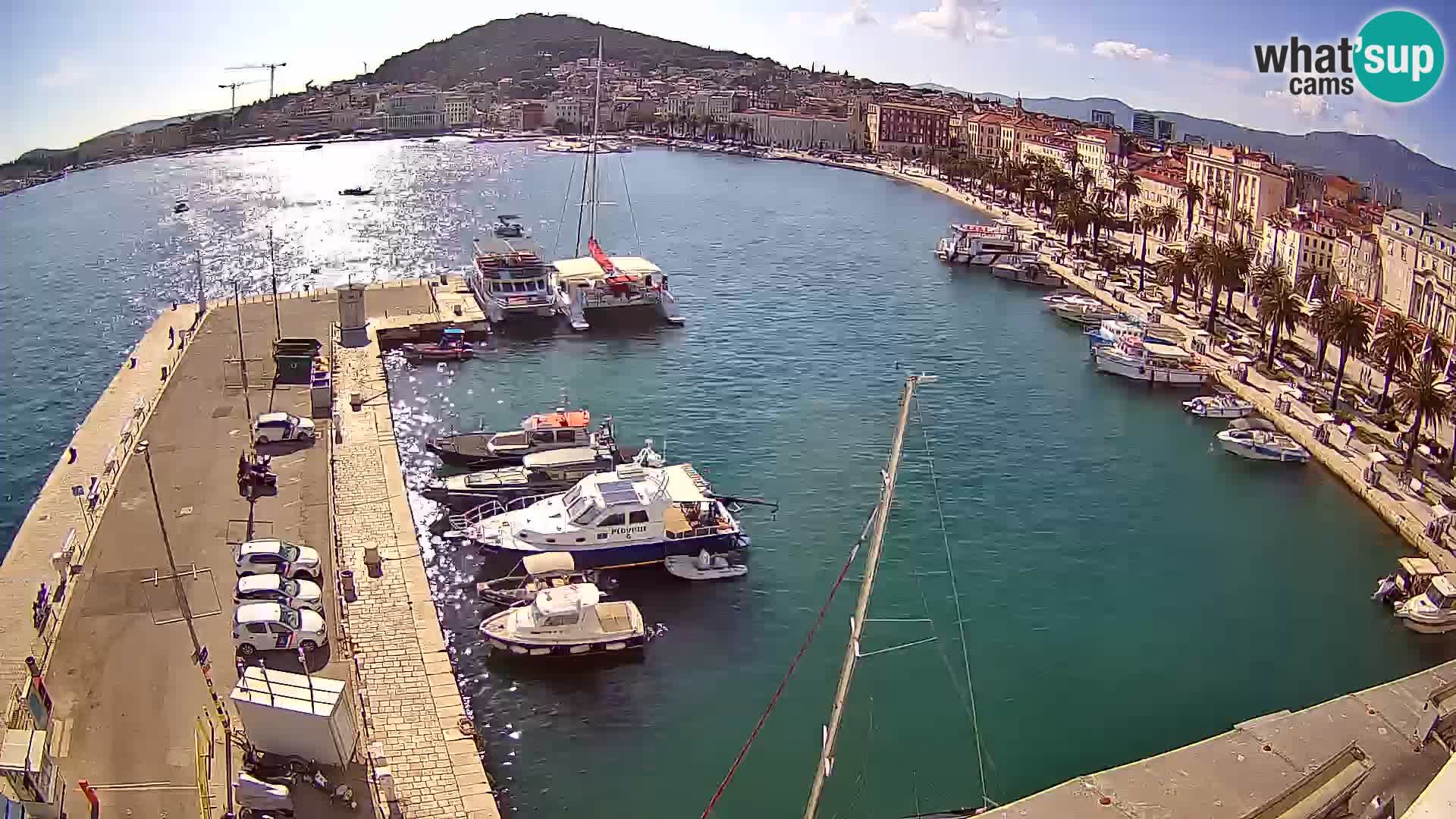 Split v živo panoramska kamera