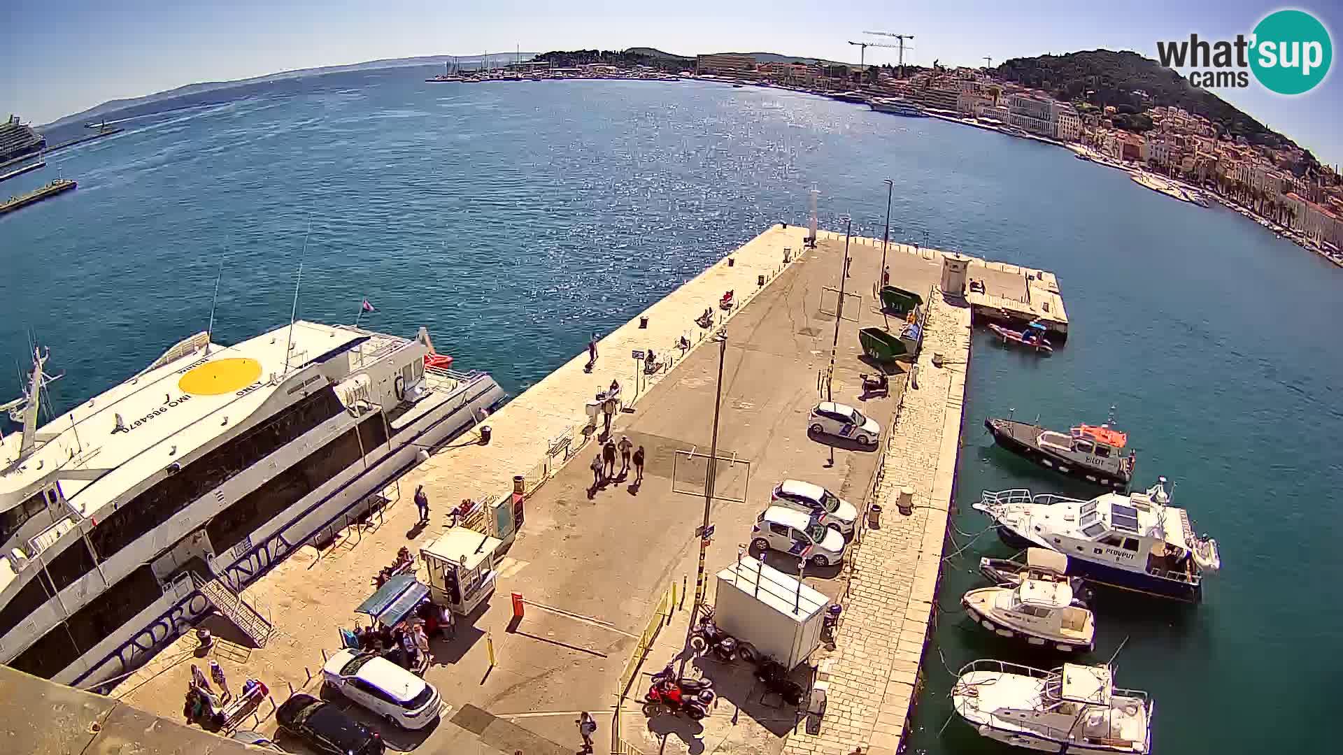 Webcam LIVE Split riva and port