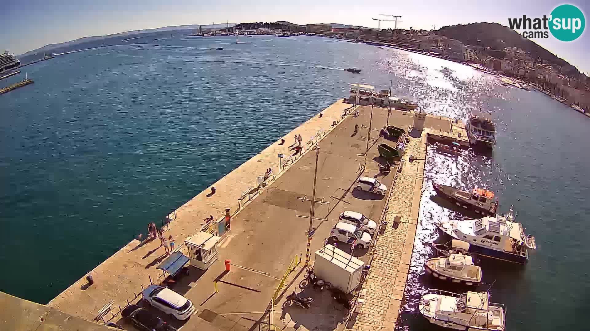 Kamera v živo Split  riva in pristanišče