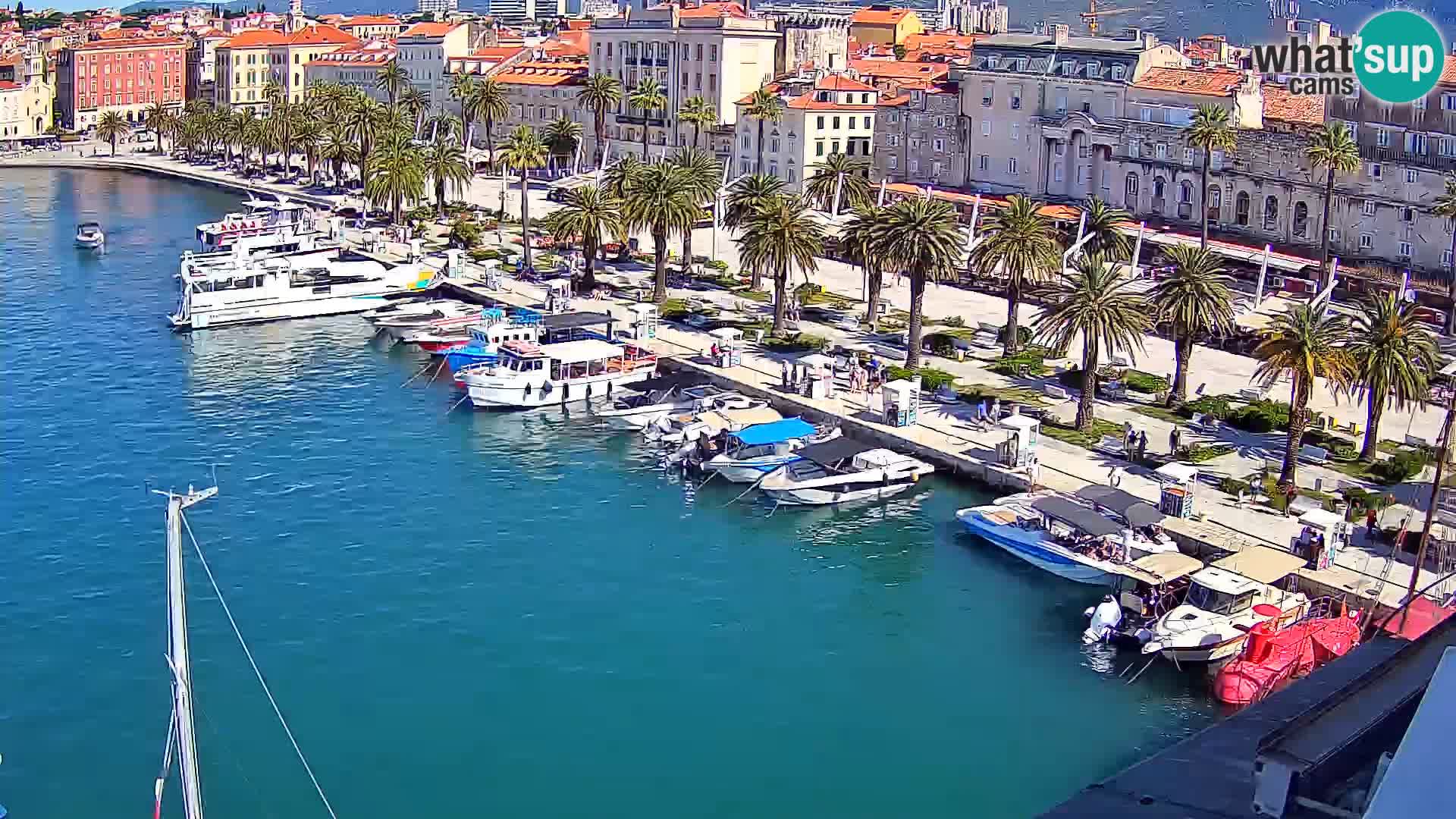 Webcam LIVE Split riva and port