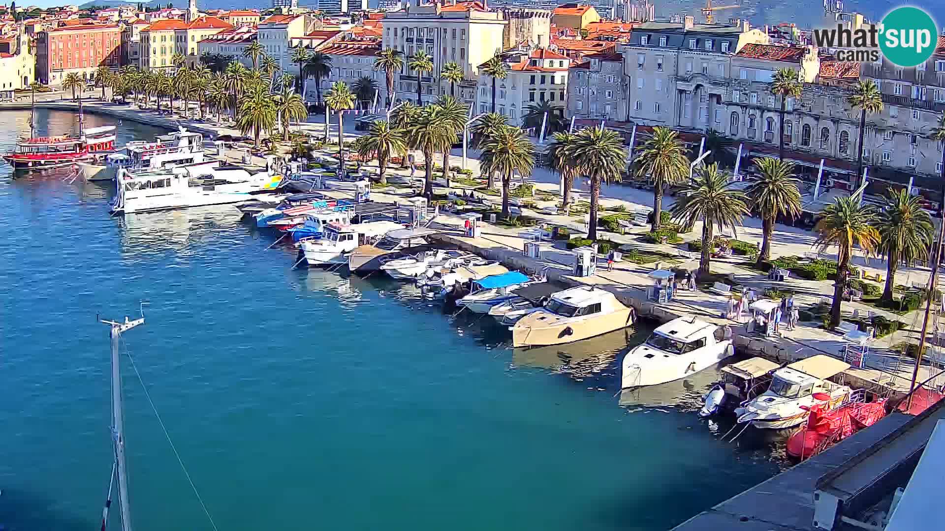 Webcam LIVE Split riva and port