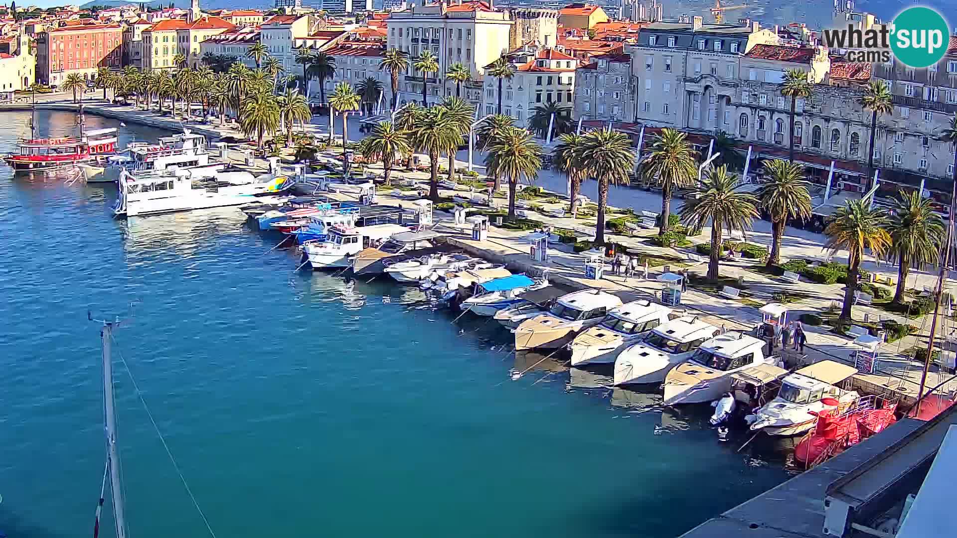Split v živo panoramska kamera