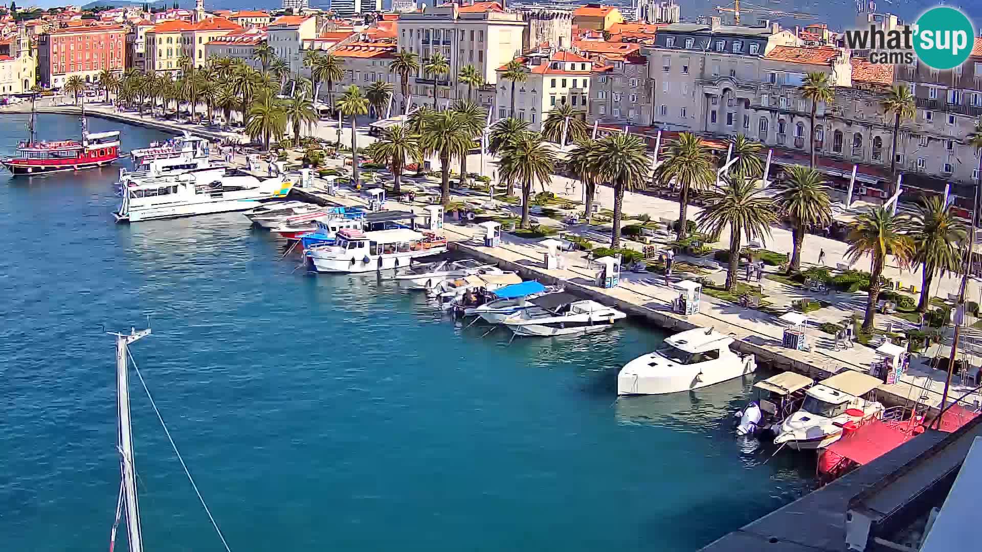 Split livecam panorama