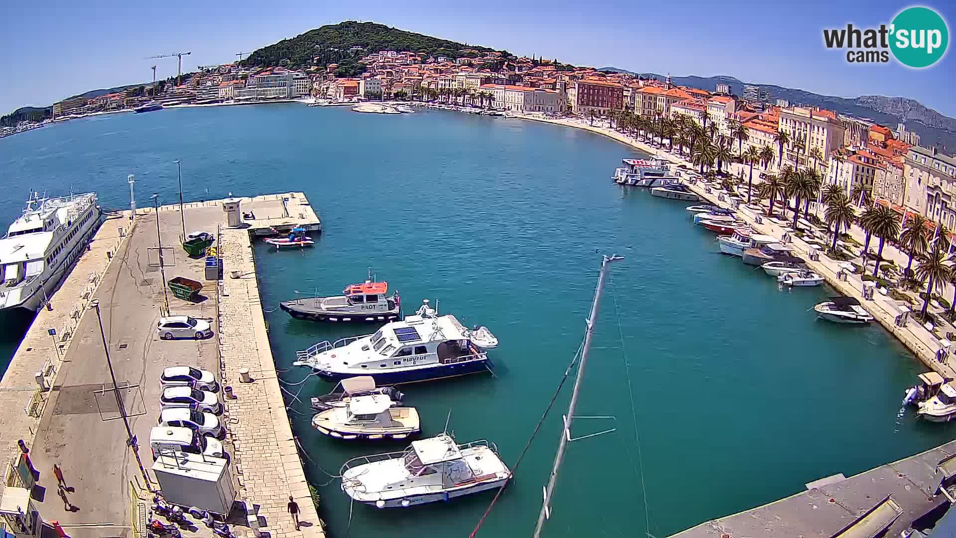 Webcam LIVE Split riva and port