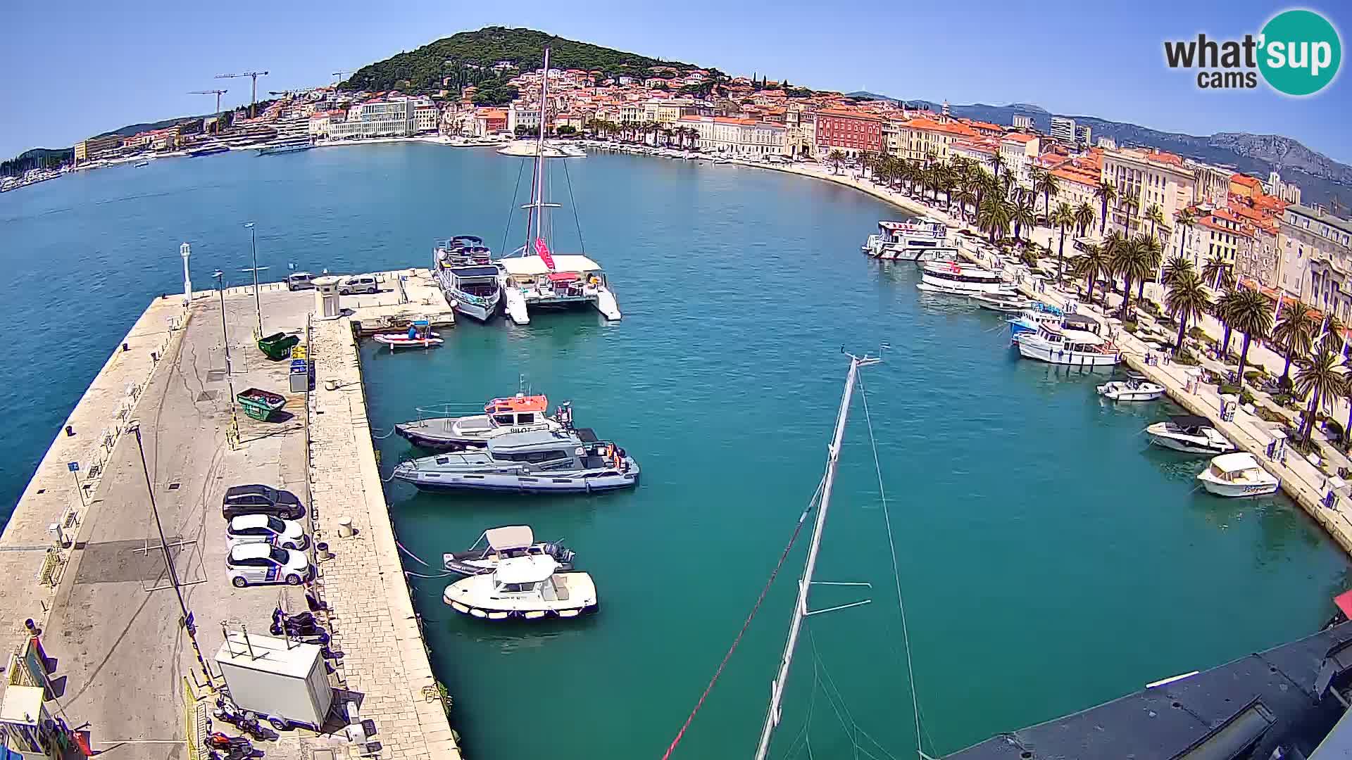 Webcam LIVE Split riva and port