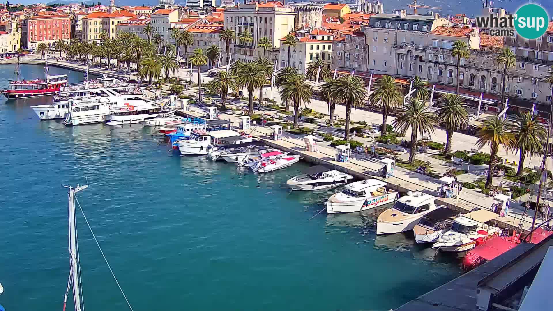Webcam LIVE Split riva and port