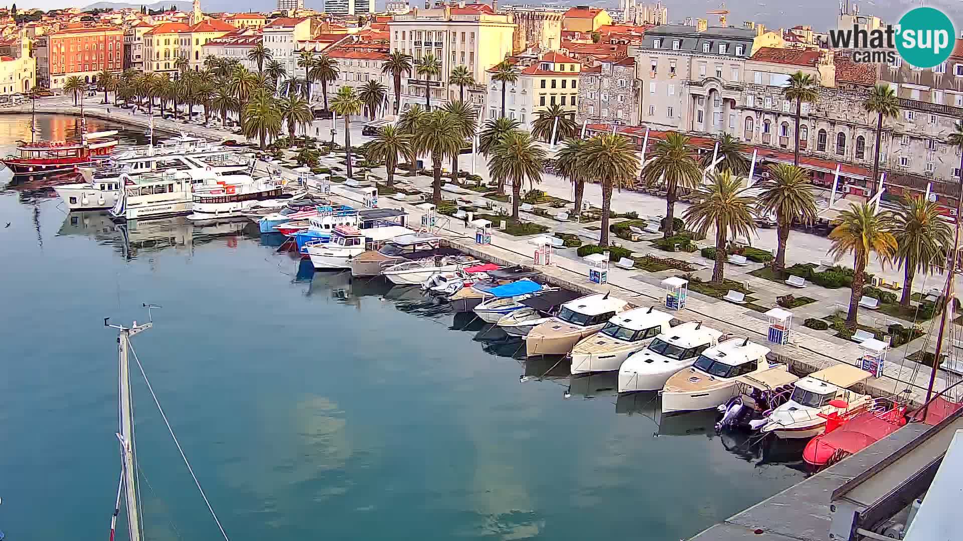 Split panorama en vivo
