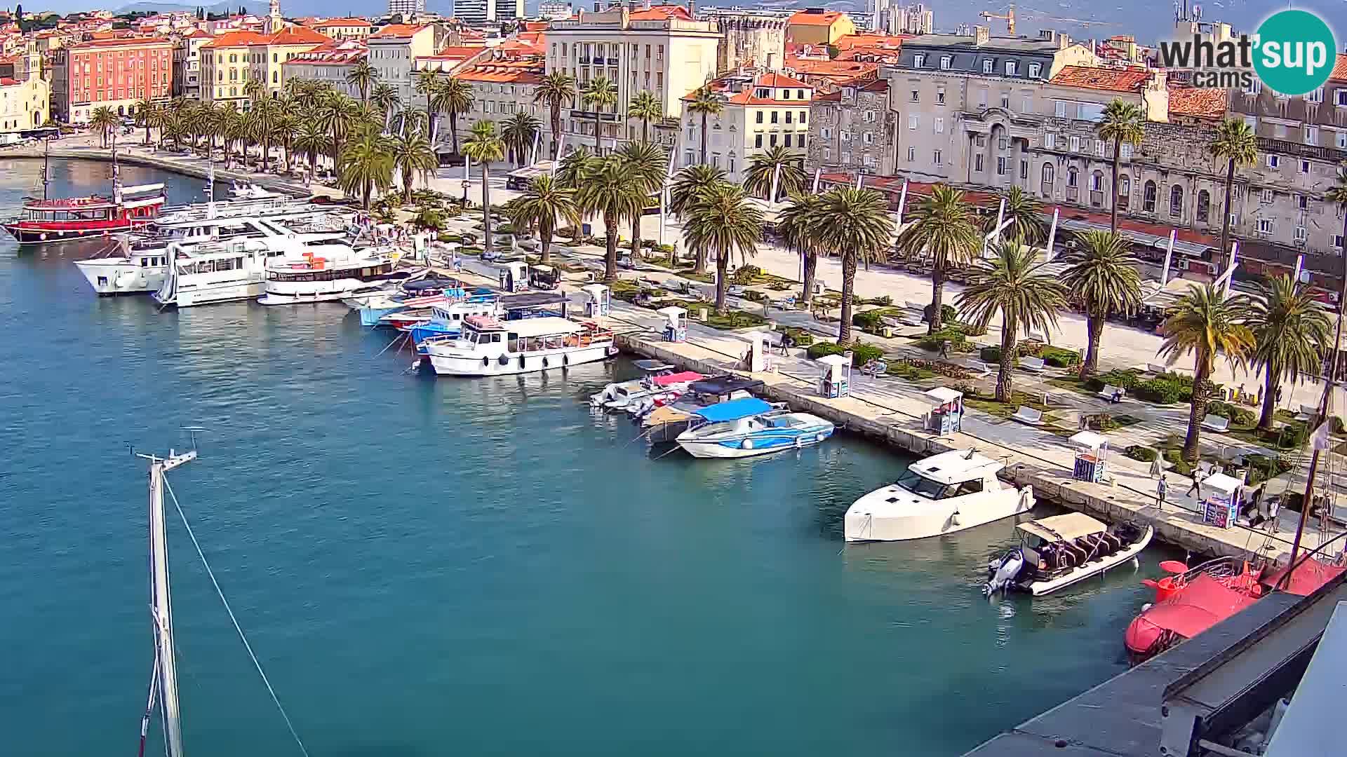 Split v živo panoramska kamera