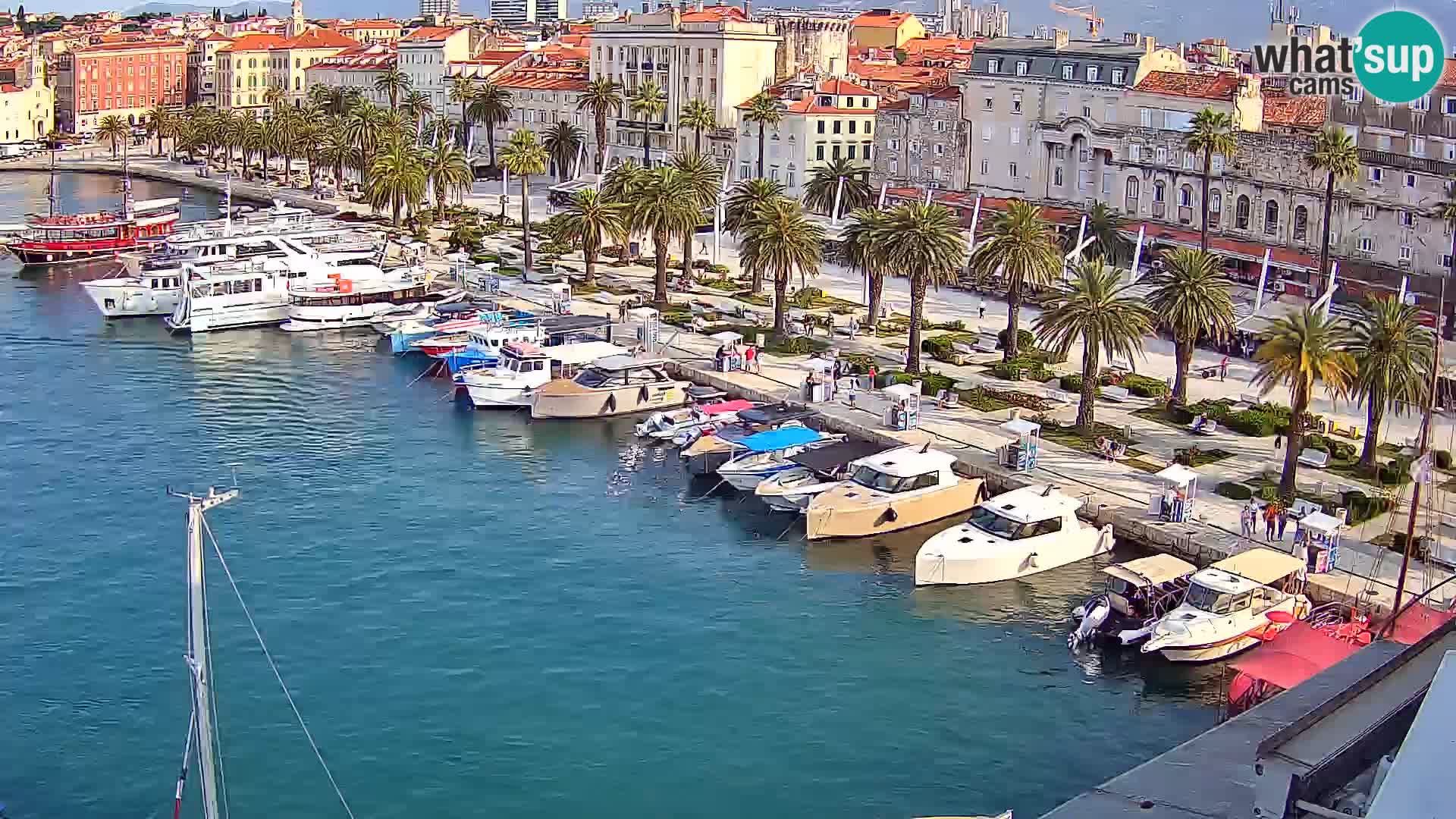 Split livecam panorama