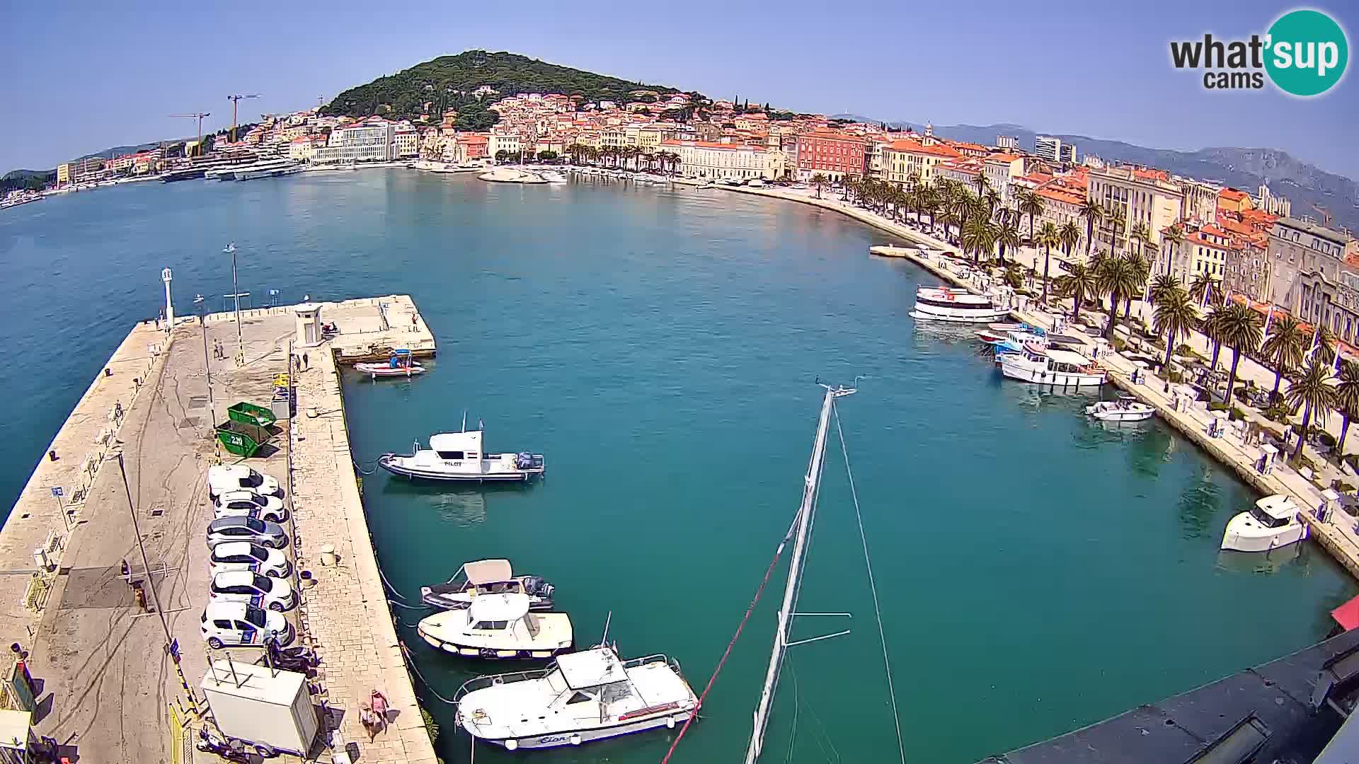 Split panorama en vivo