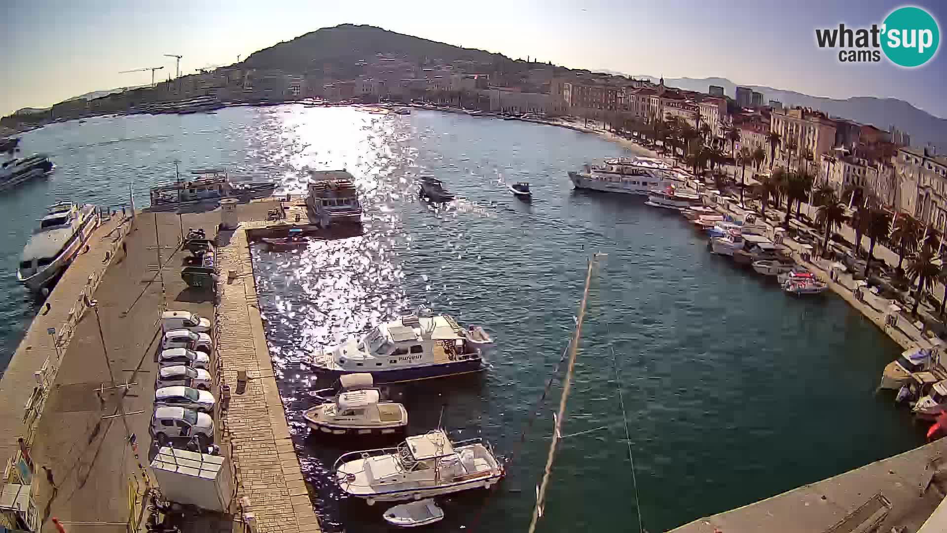 Webcam LIVE Split riva and port