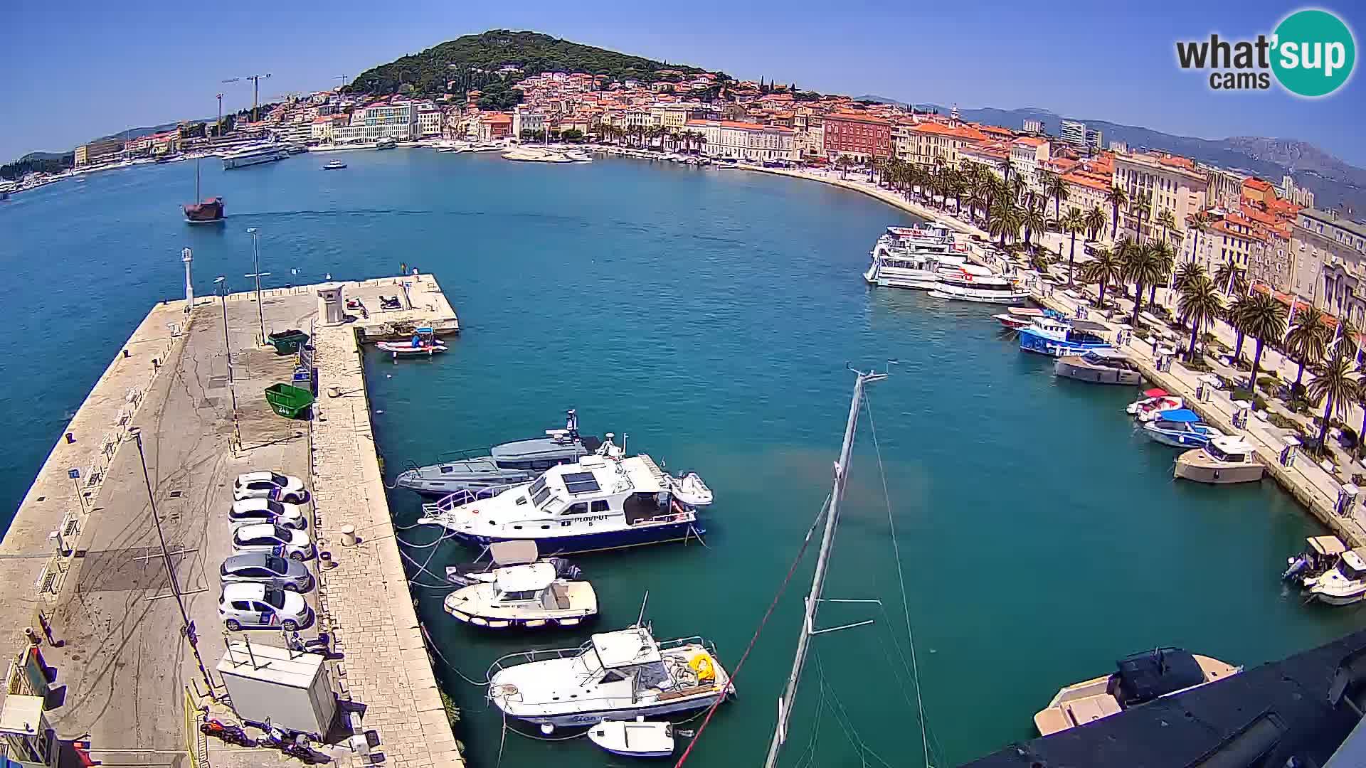 Webcam LIVE Split riva and port
