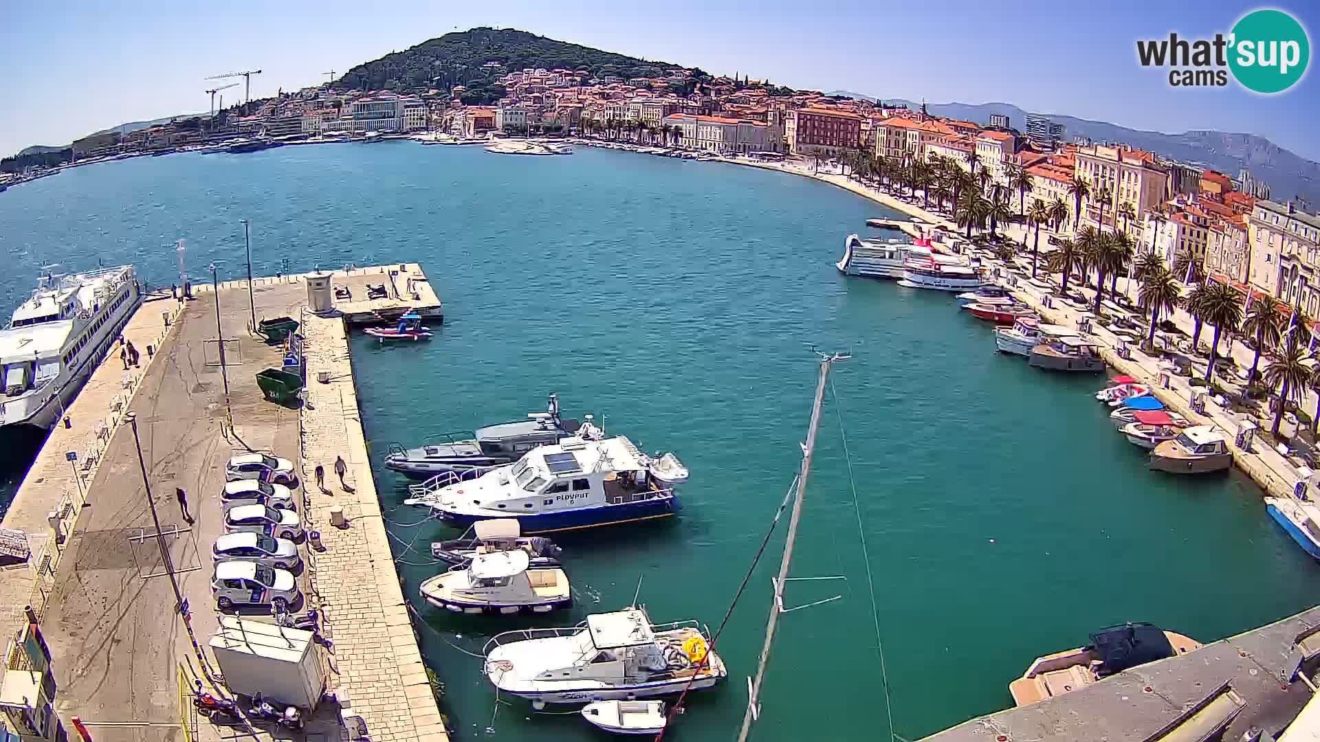 Webcam LIVE Split riva and port