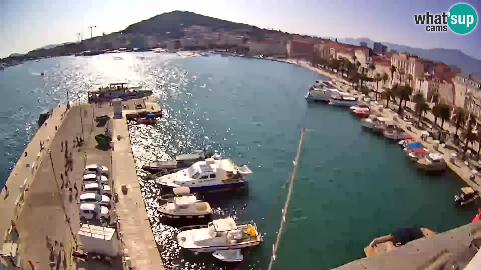 Webcam LIVE Split riva and port