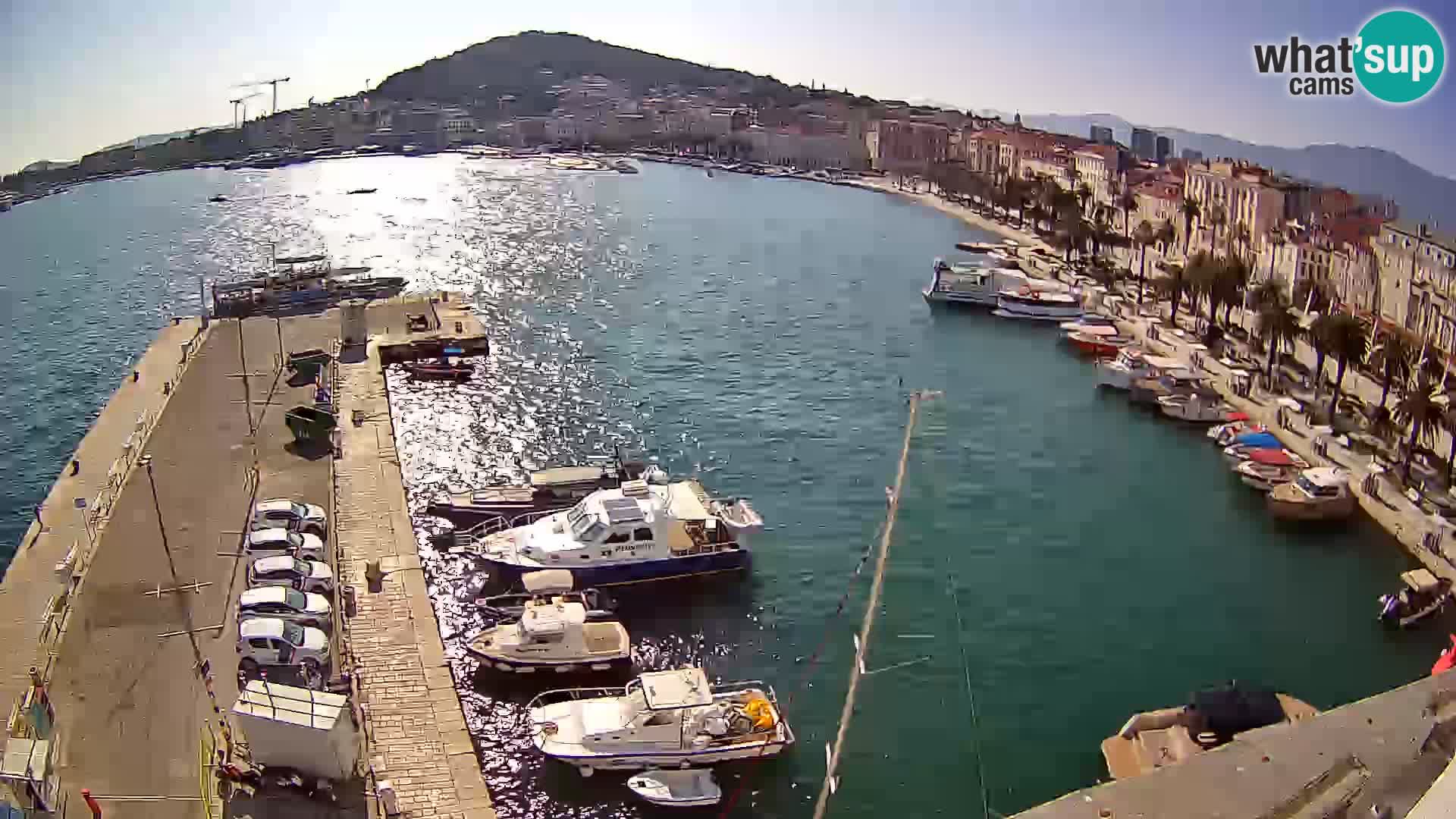 Webcam LIVE Split riva and port
