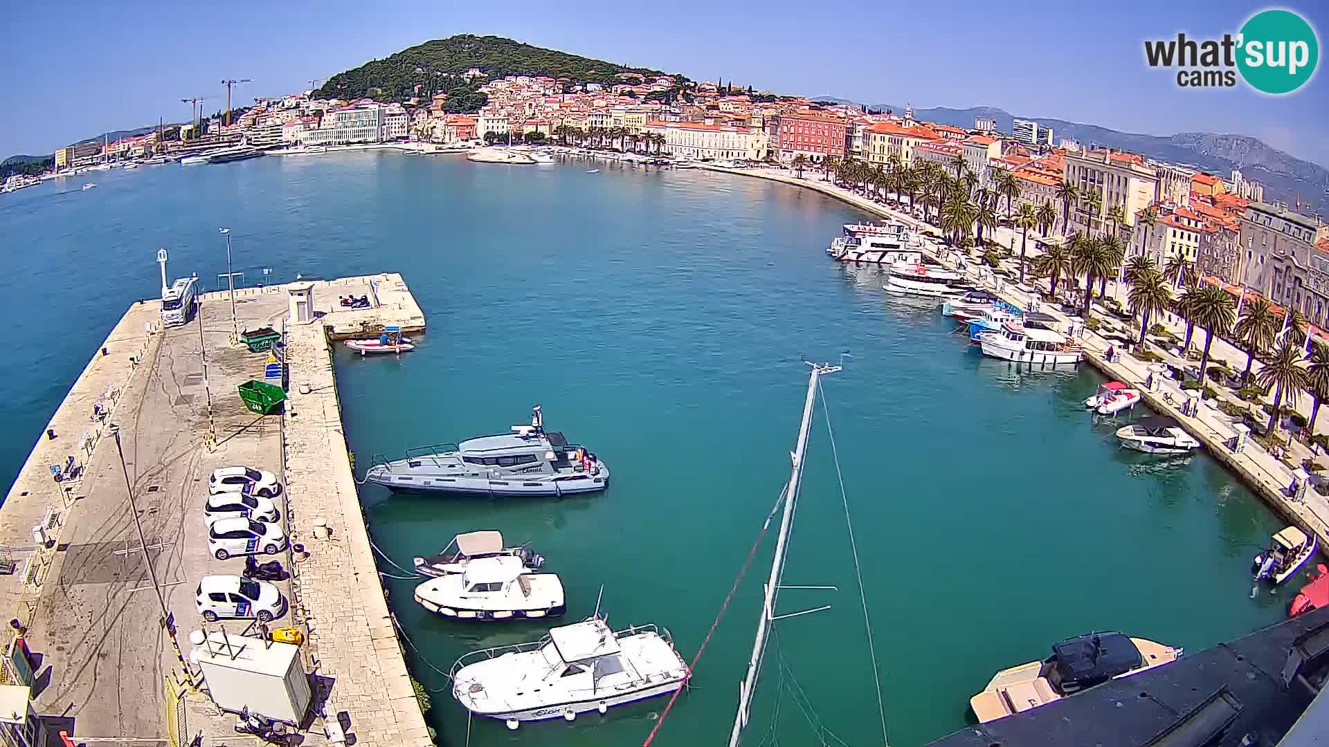 Webcam LIVE Split riva and port