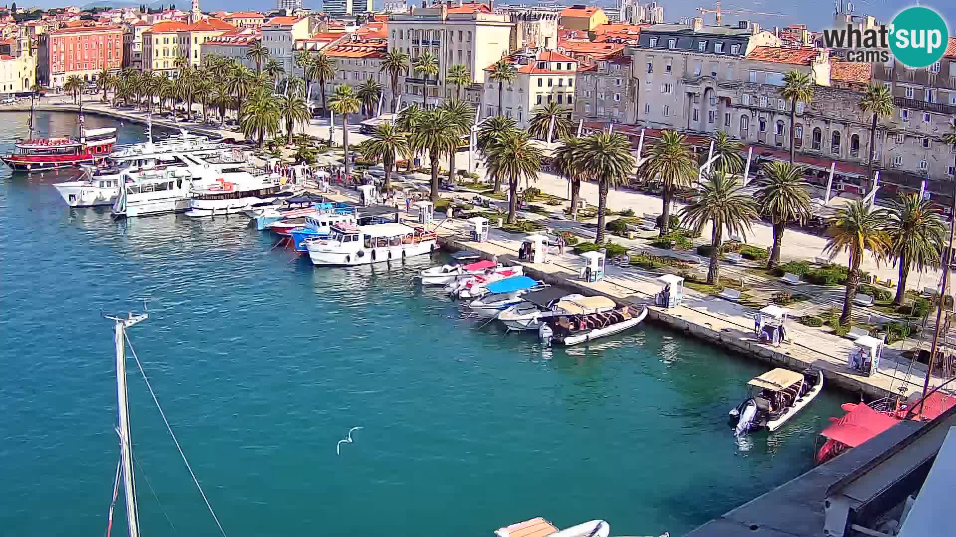 Spalato Riva panorama webcam
