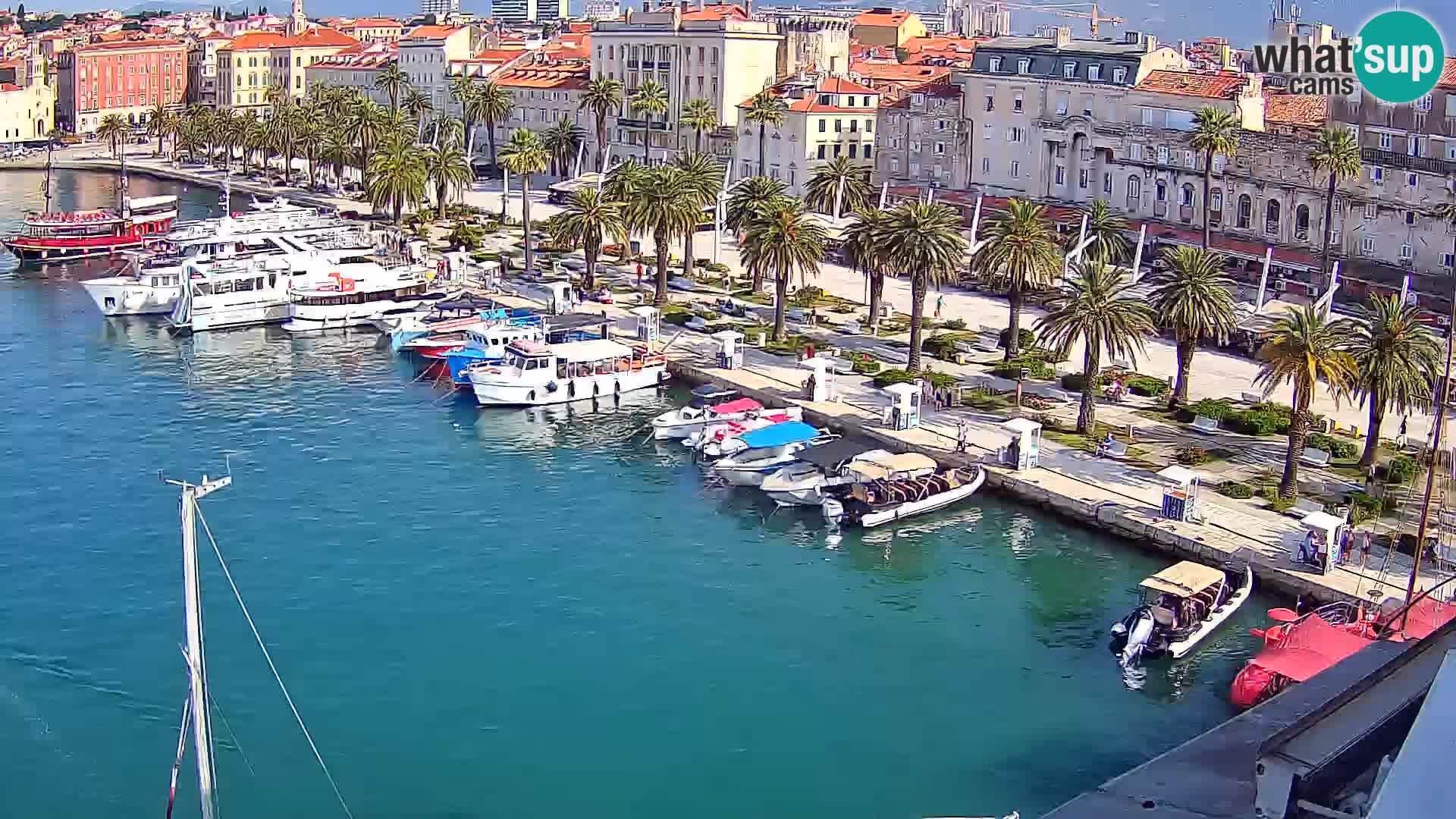 Split livecam panorama