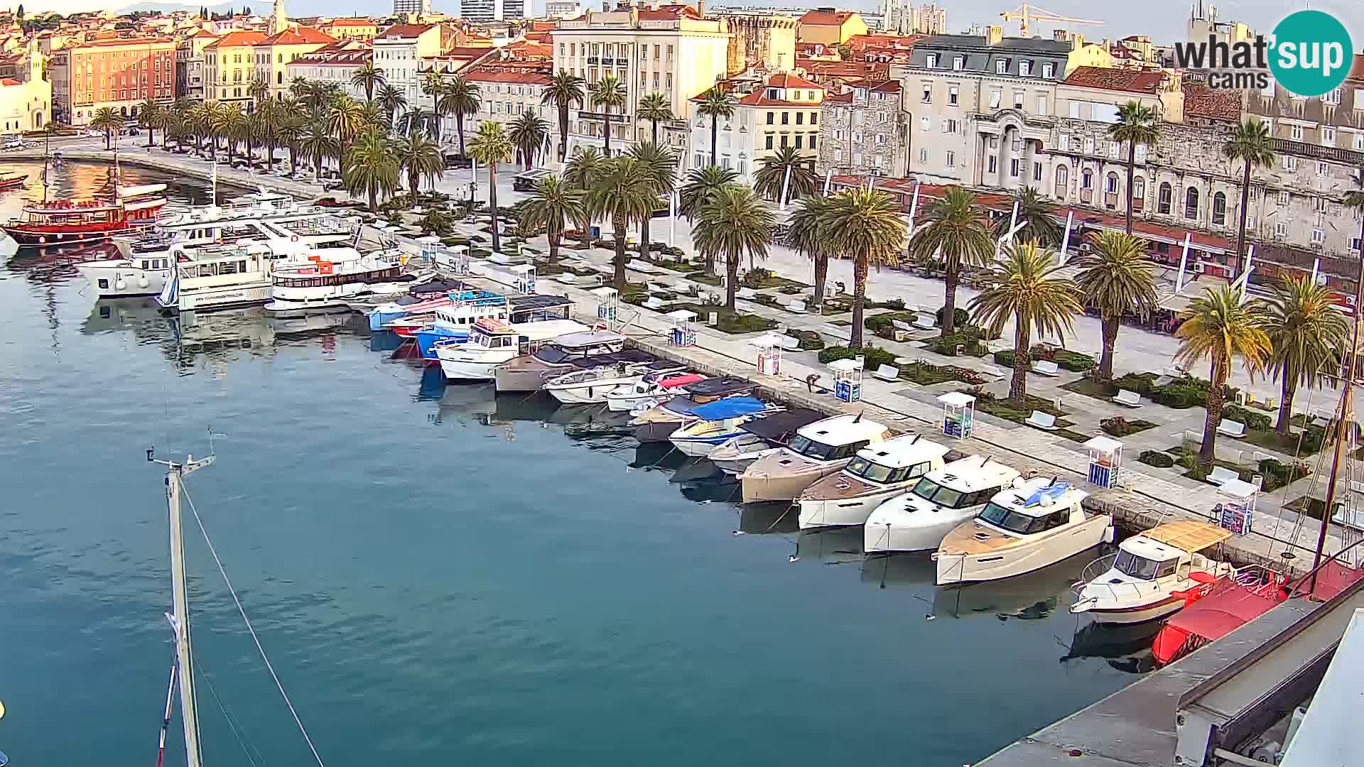 Webcam LIVE Split riva and port